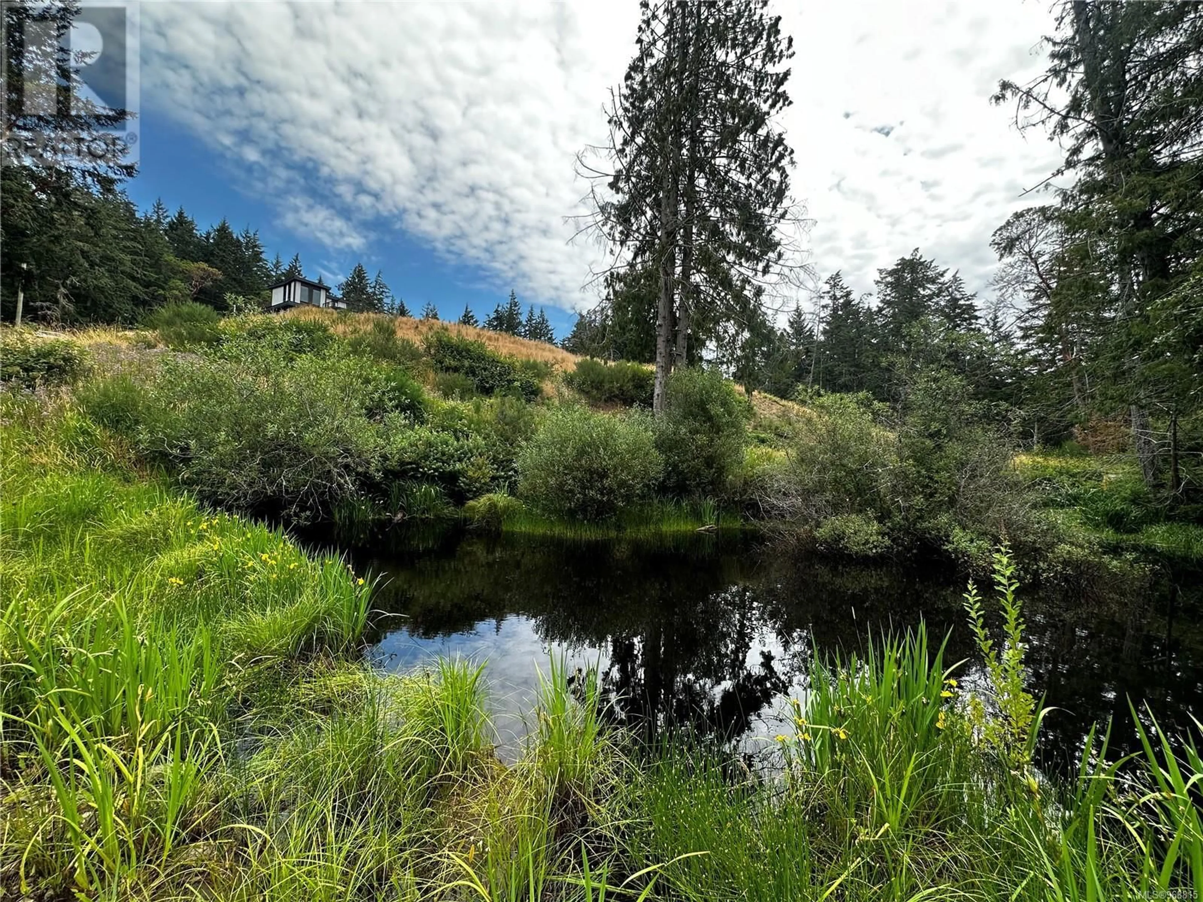 Forest view for 997 Kangaroo Rd, Metchosin British Columbia V9C4E1