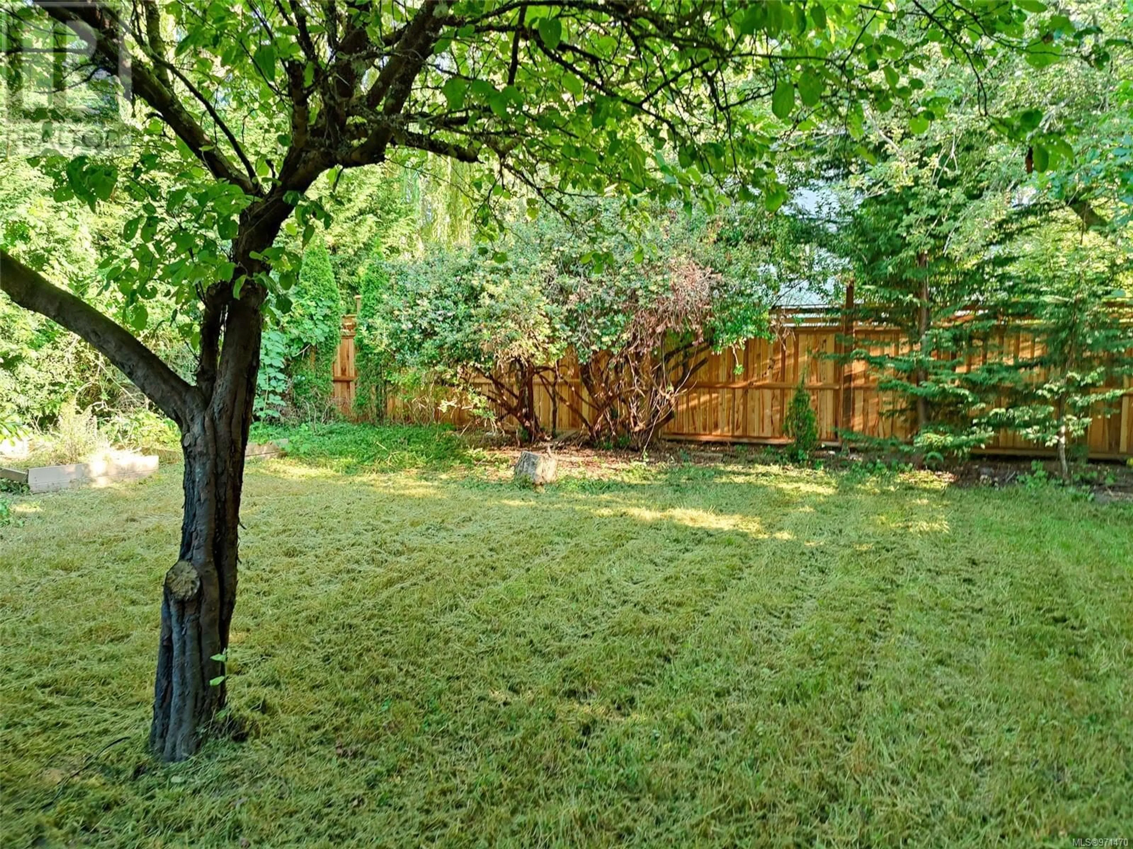 Fenced yard for 2377 Zela St, Oak Bay British Columbia V8S2X1