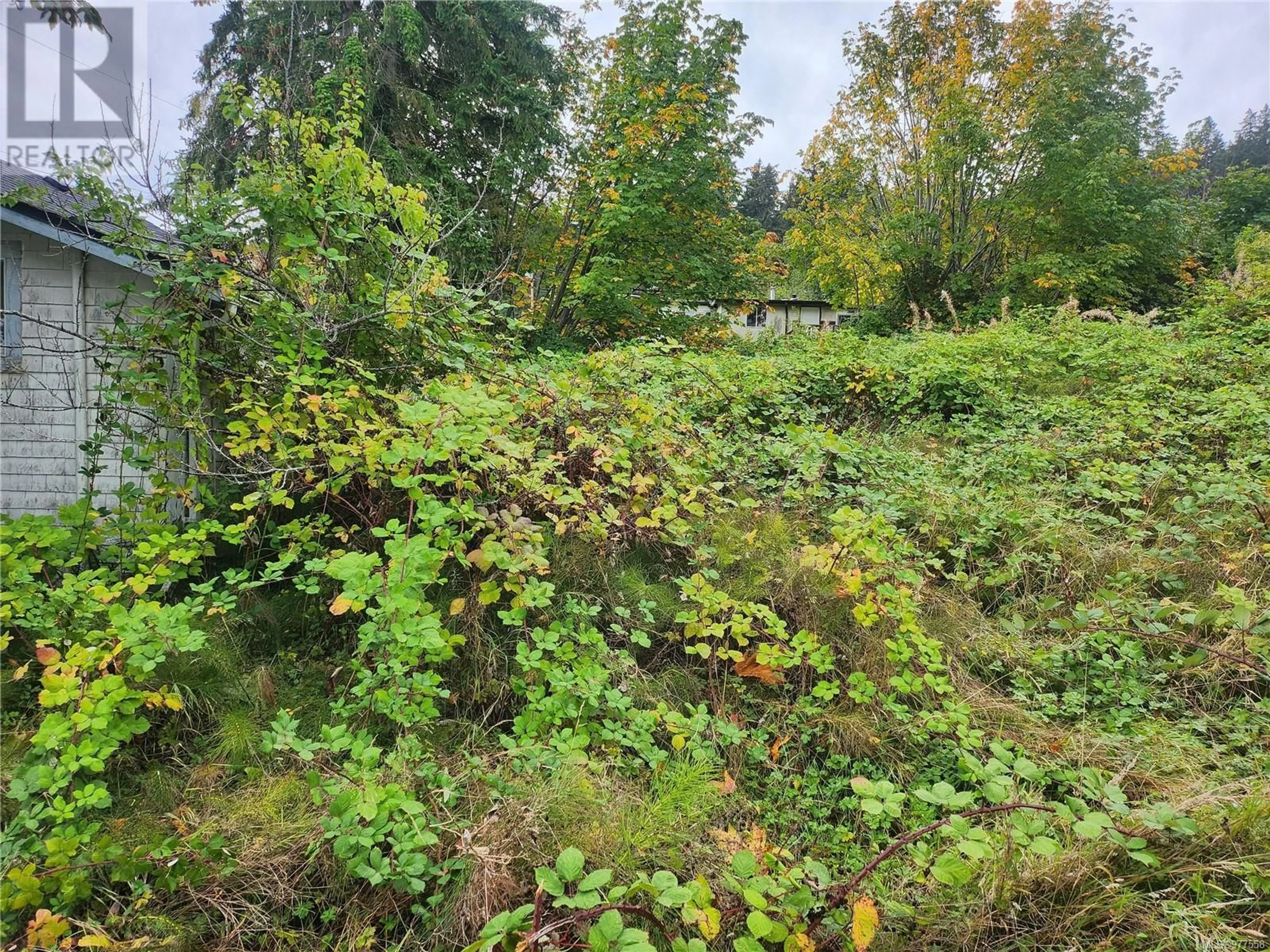 Shed for 5597 4th St, Union Bay British Columbia V0R3B0