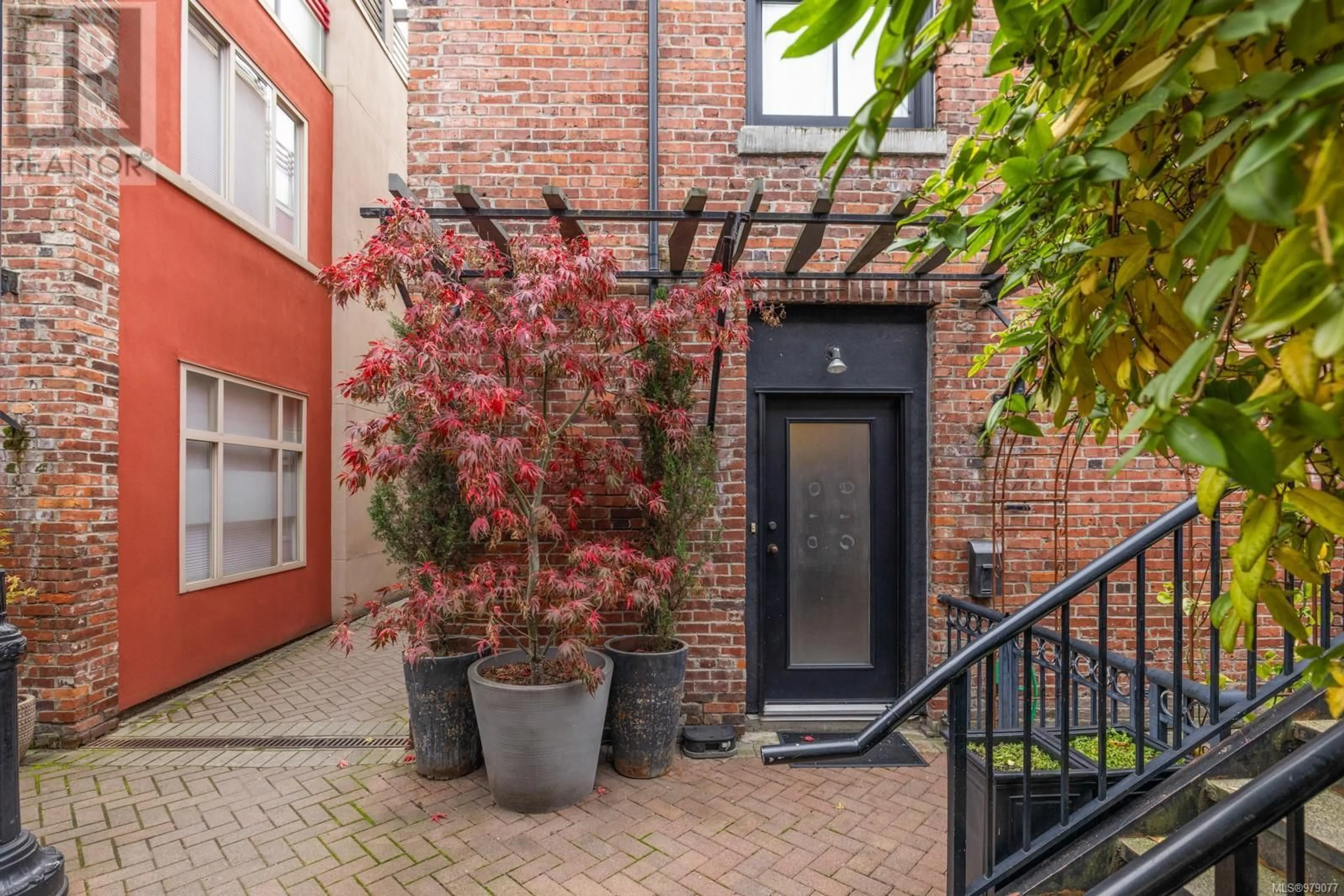 Patio, the front or back of building for 7 532 Fisgard St, Victoria British Columbia V8W1R4