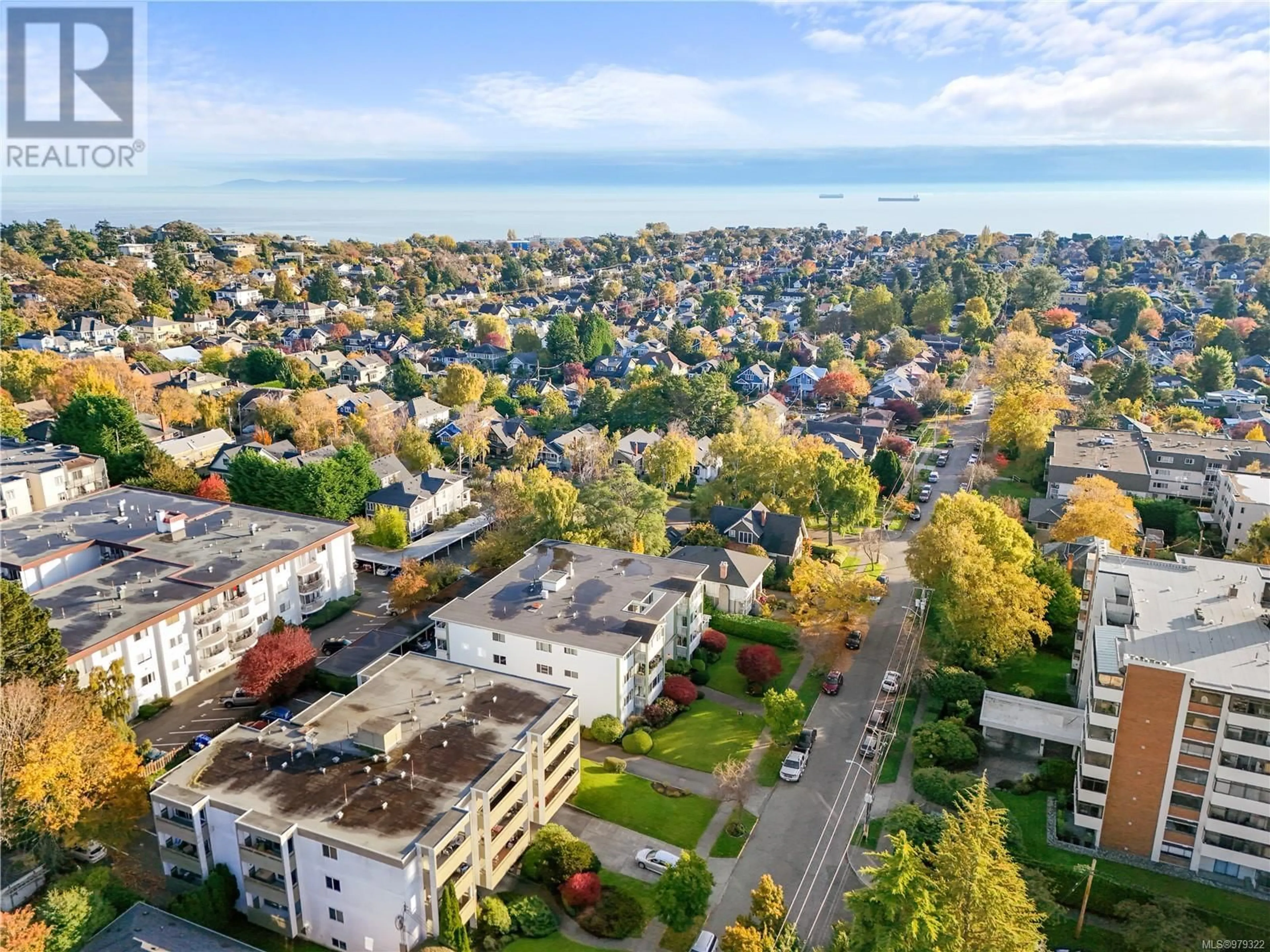 A pic from exterior of the house or condo, the view of city buildings for 205 429 Linden Ave, Victoria British Columbia V8V4G2