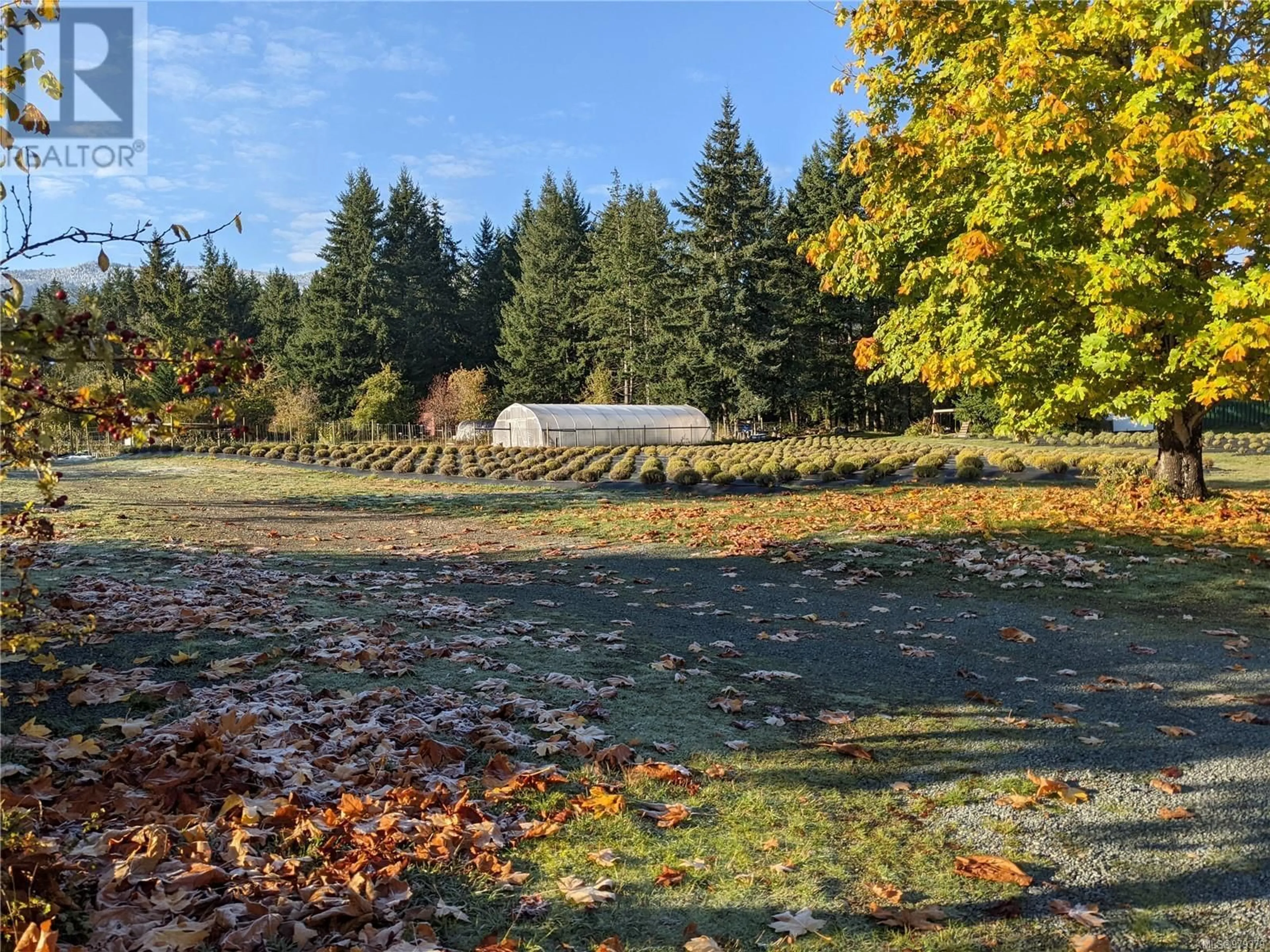 A pic from exterior of the house or condo, the fenced backyard for 2271 East Wellington Rd, Nanaimo British Columbia V9R6V8