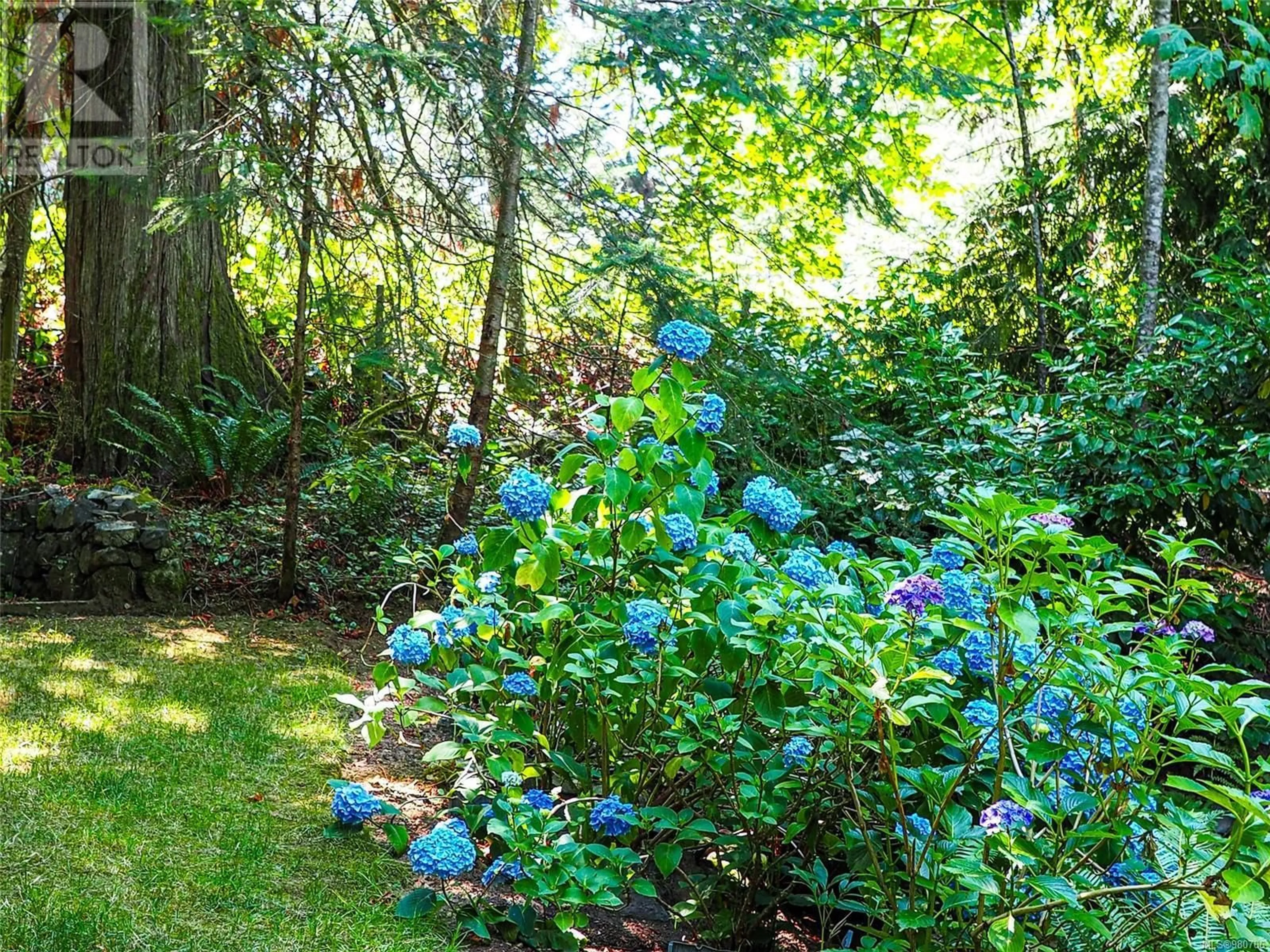 Patio, the fenced backyard for 2423 Galland Rd, Shawnigan Lake British Columbia V0R2W2