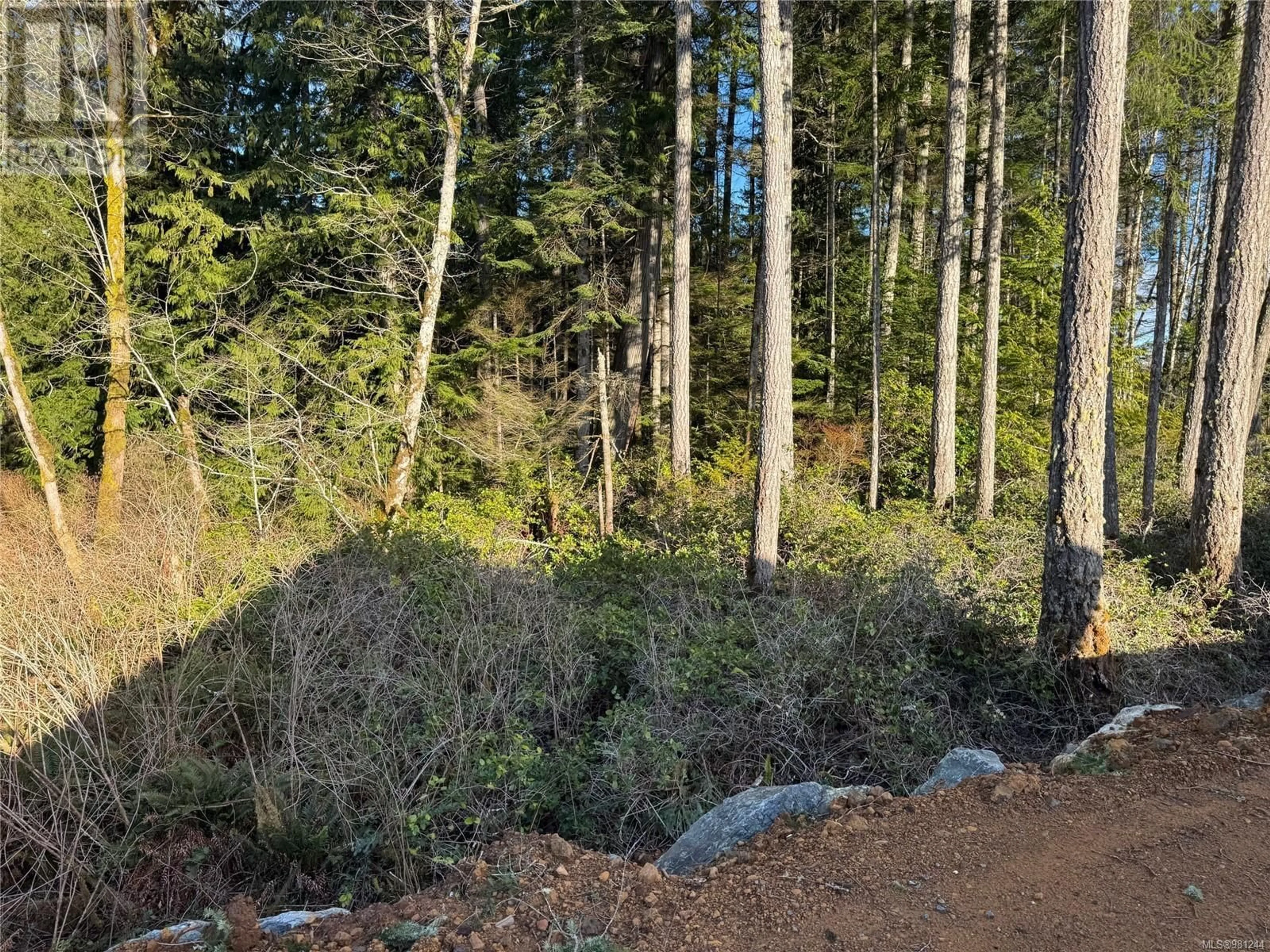 A pic from outside/outdoor area/front of a property/back of a property/a pic from drone, forest/trees view for 2633 Forest Edge Rd, Sooke British Columbia V9Z1P9