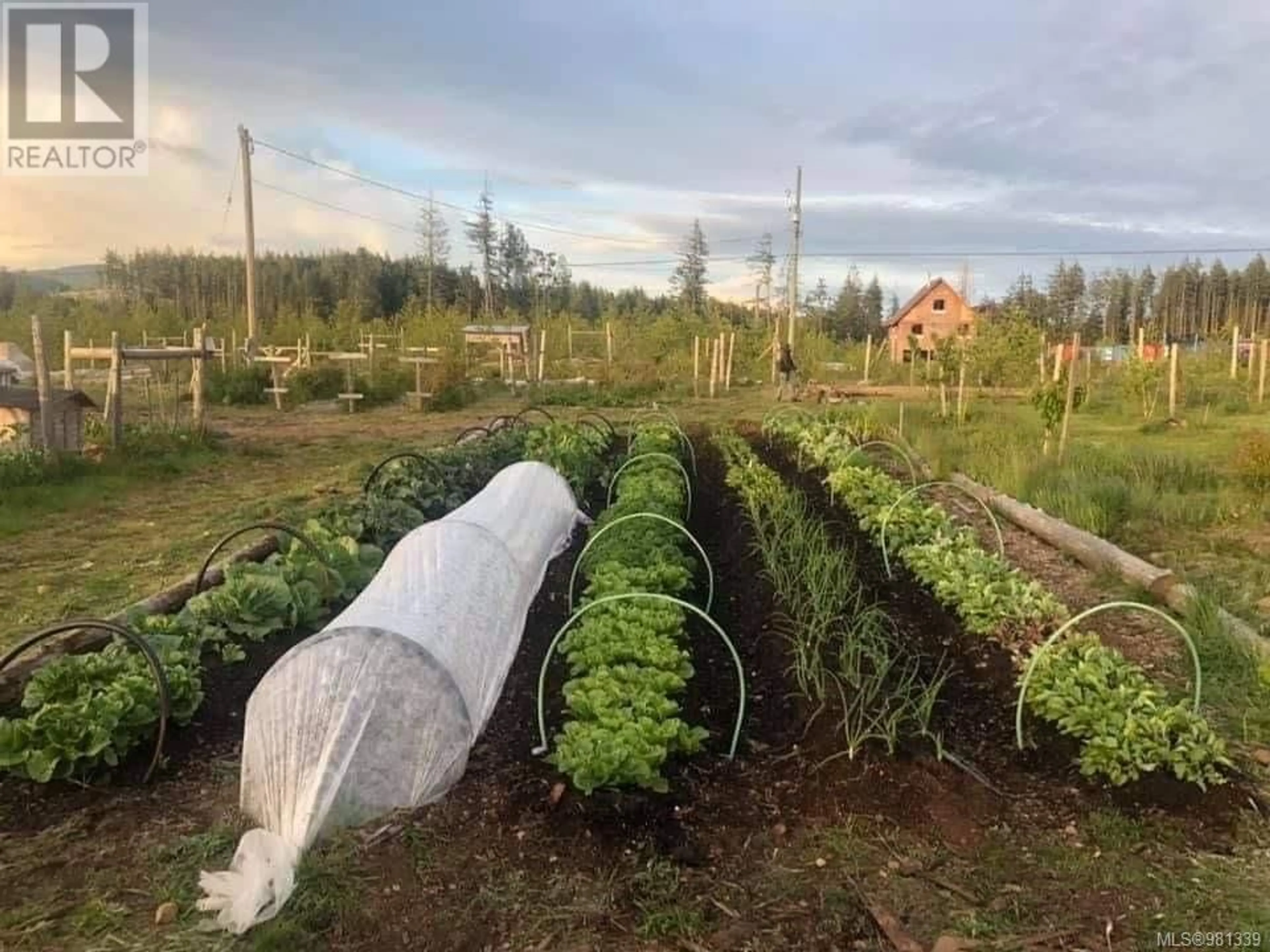 Patio, the fenced backyard for 2845 Kirby Creek Rd, Sooke British Columbia V9Z1G4