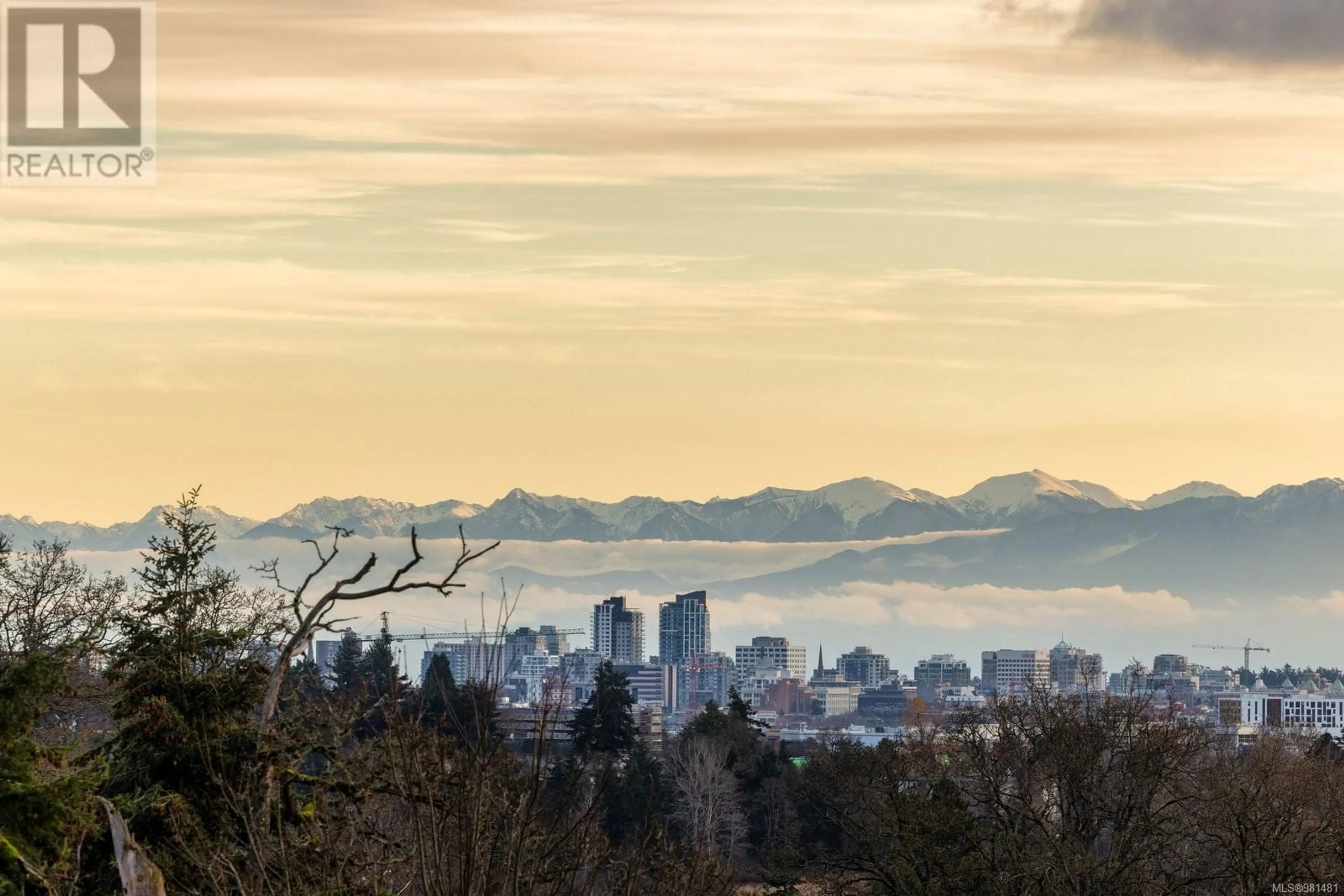 A pic from exterior of the house or condo, the view of mountain for 861 Rainbow Cres, Saanich British Columbia V8X5M2