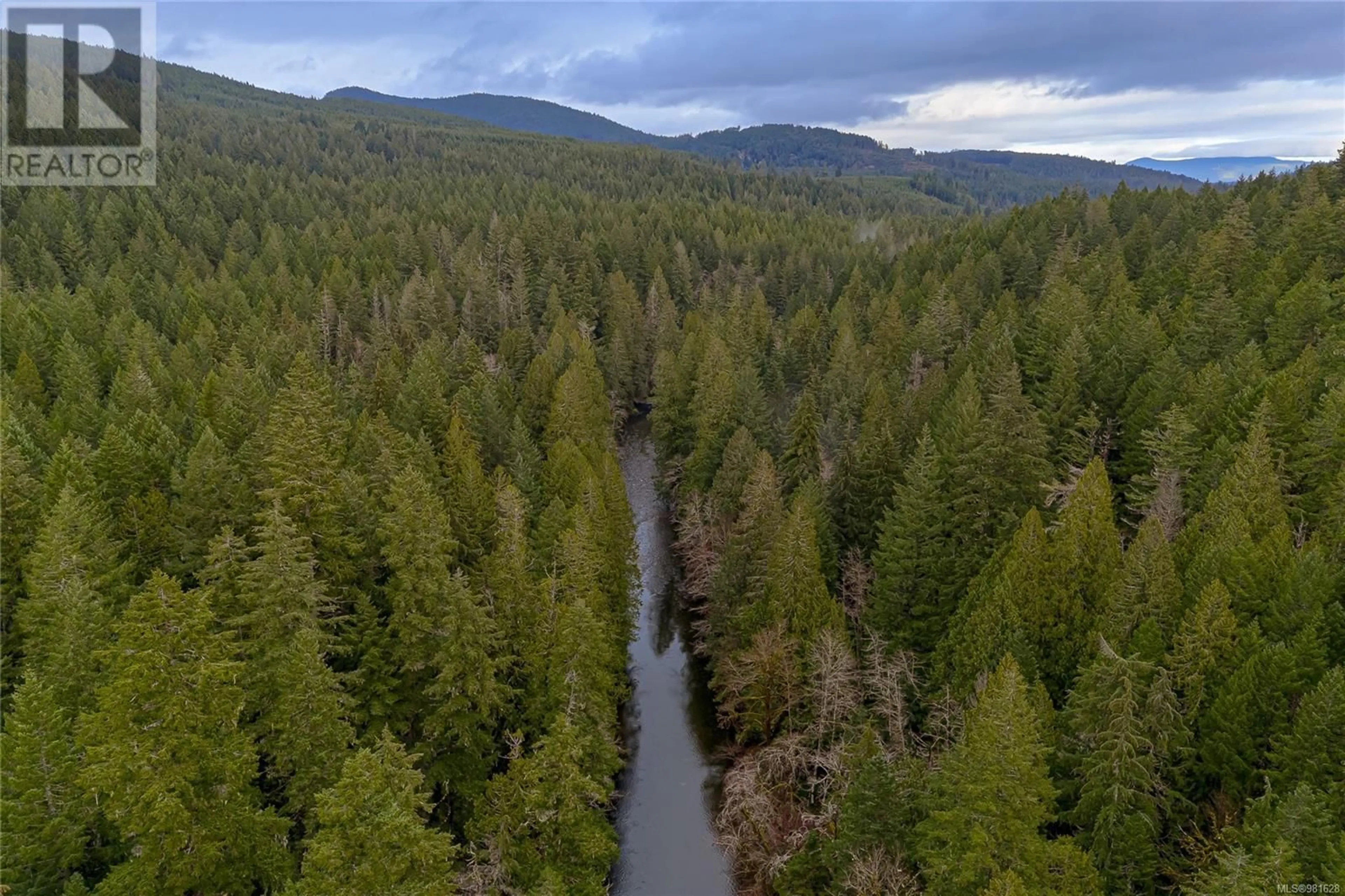 A pic from outside/outdoor area/front of a property/back of a property/a pic from drone, forest/trees view for 3113 RENFREW ROAD, Shawnigan Lake British Columbia V0R2W1