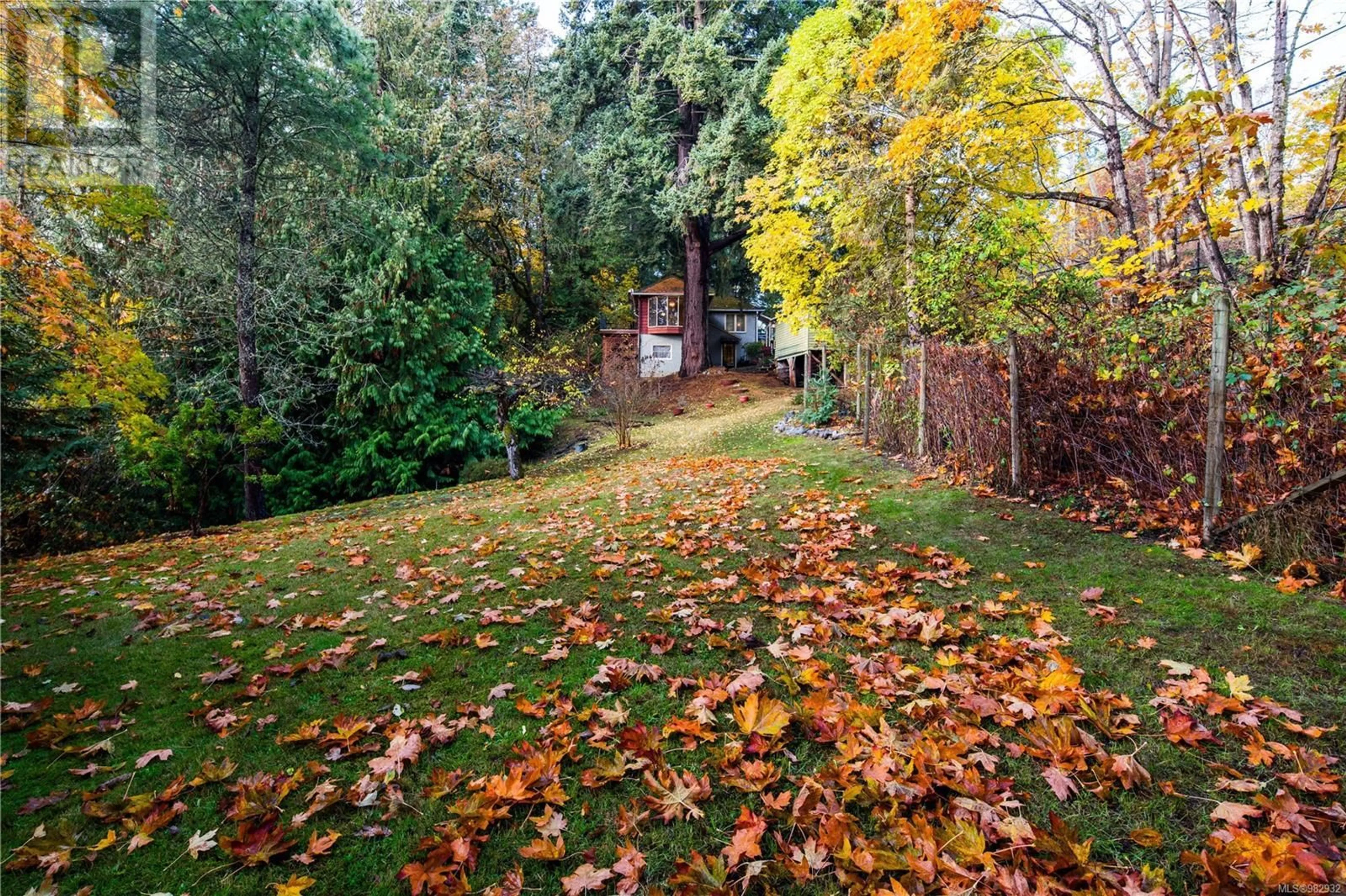 A pic from outside/outdoor area/front of a property/back of a property/a pic from drone, forest/trees view for 331 Atkins Ave, Langford British Columbia V9B3A1