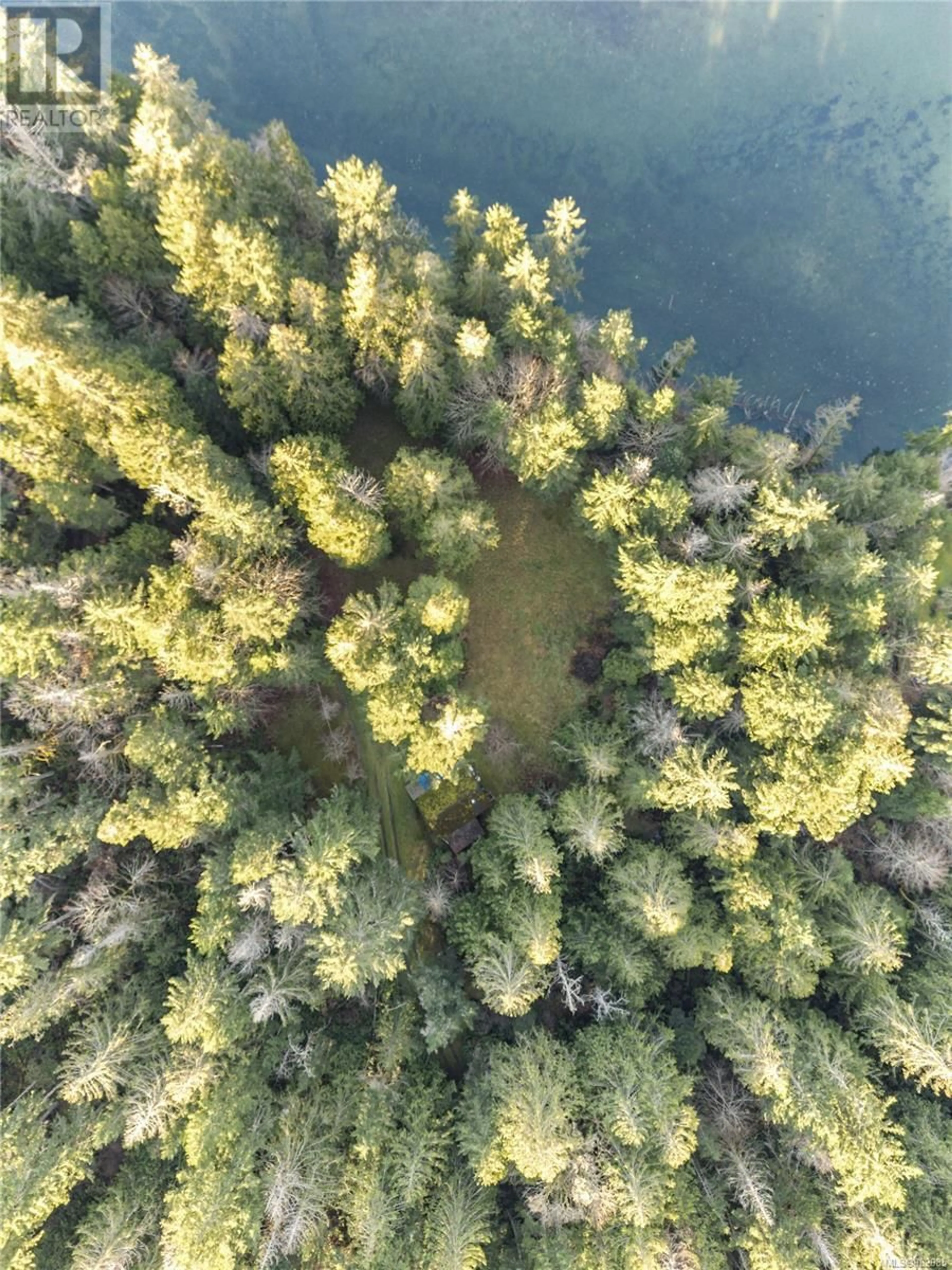 A pic from outside/outdoor area/front of a property/back of a property/a pic from drone, forest/trees view for 808 Rainbow Rd, Salt Spring British Columbia V8K2M8