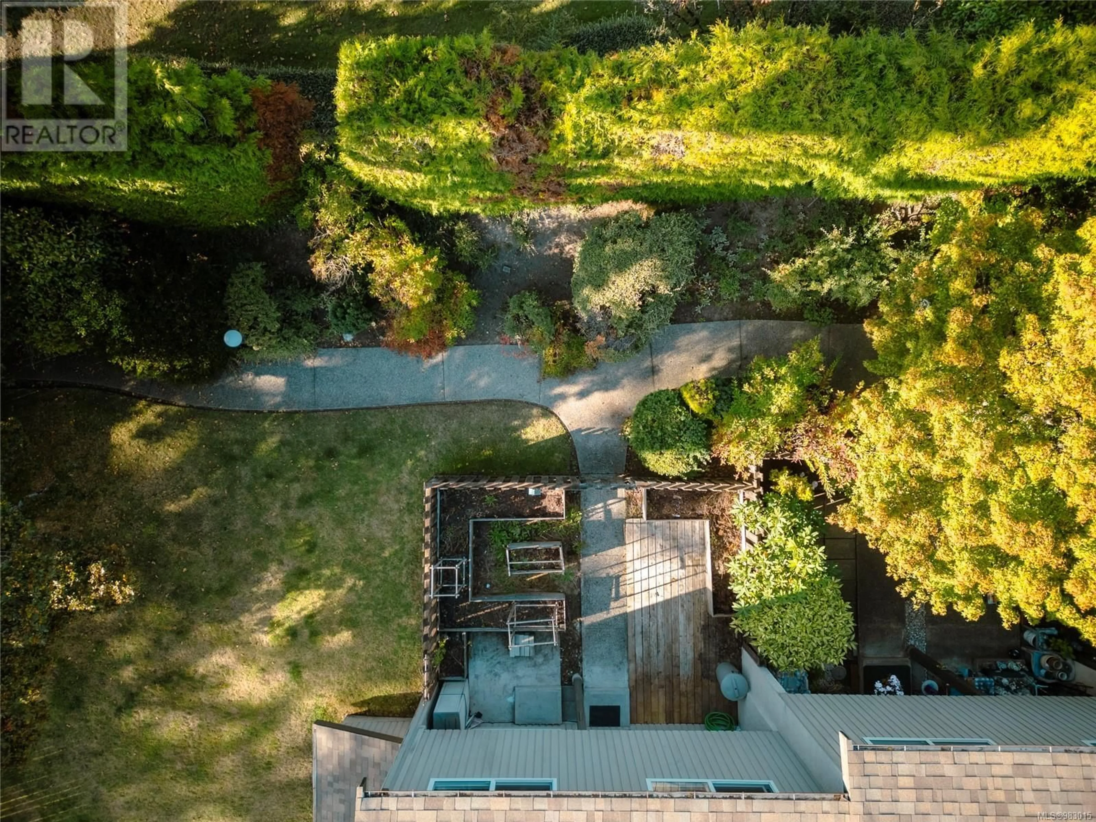 A pic from outside/outdoor area/front of a property/back of a property/a pic from drone, forest/trees view for 1 3981 Saanich Rd, Saanich British Columbia V8X1Y9