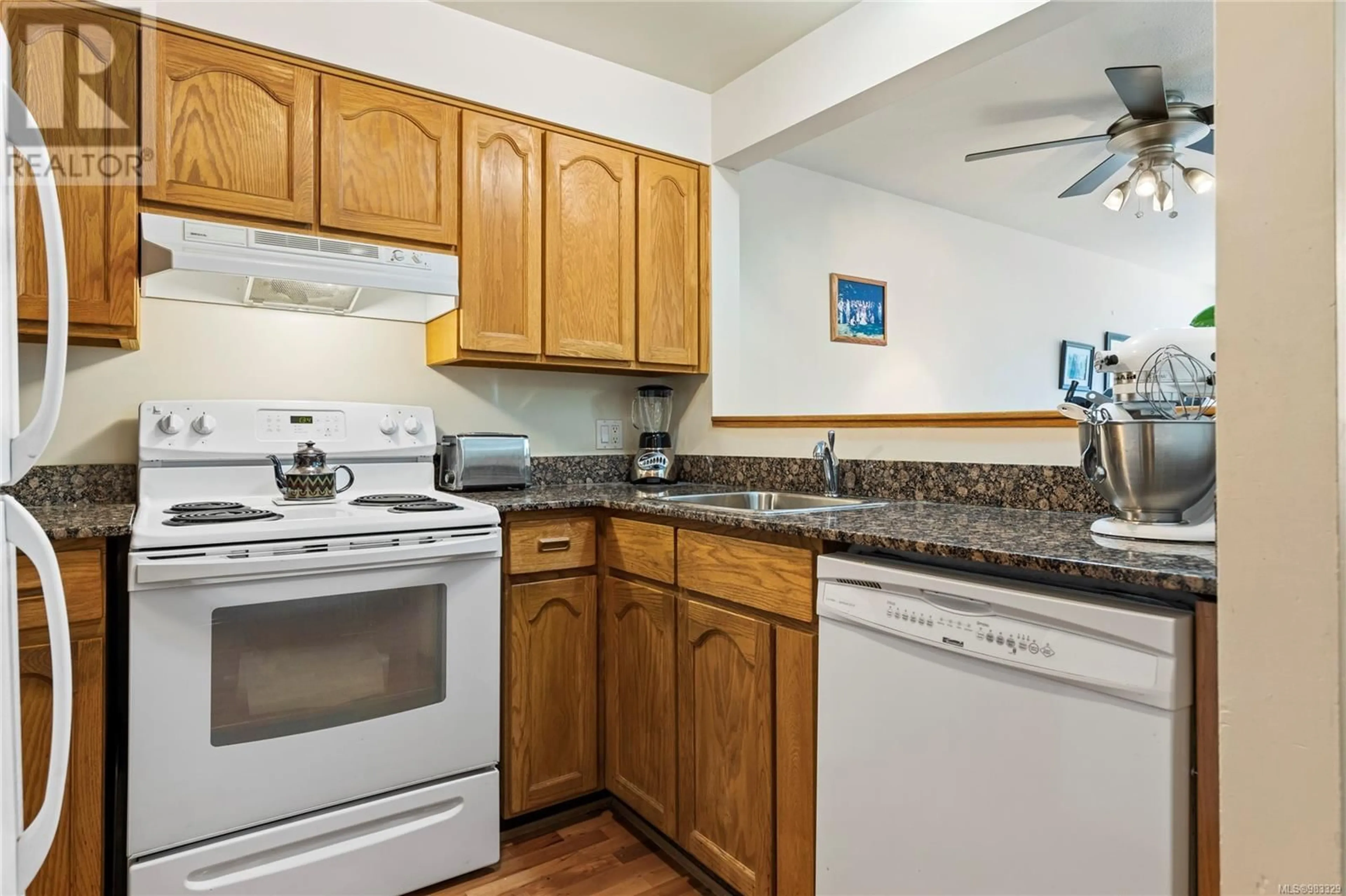 Standard kitchen, unknown for 412 30 Cavan St, Nanaimo British Columbia V9R6K3