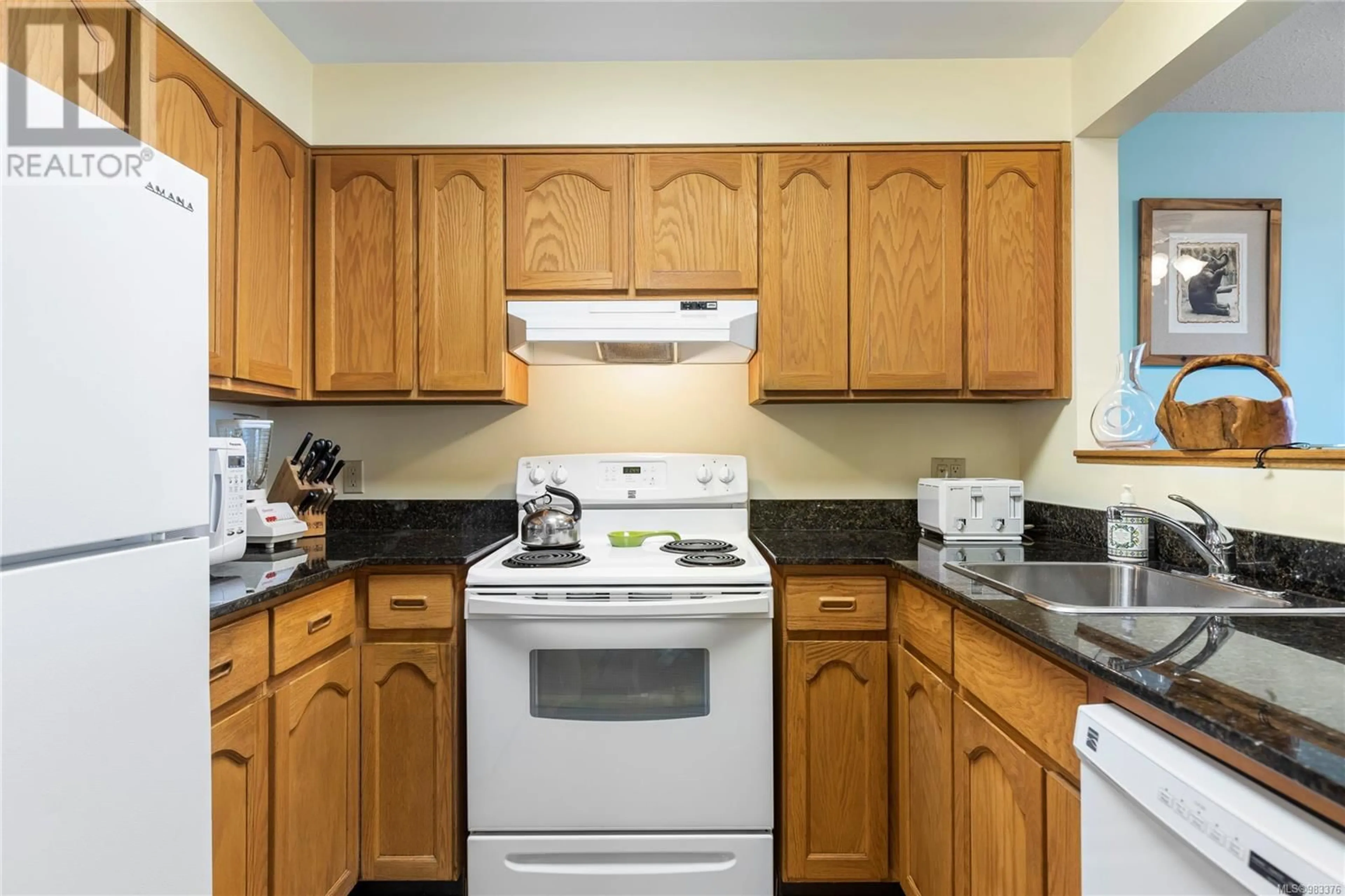 Standard kitchen, unknown for 405 30 Cavan St, Nanaimo British Columbia V9R6K3