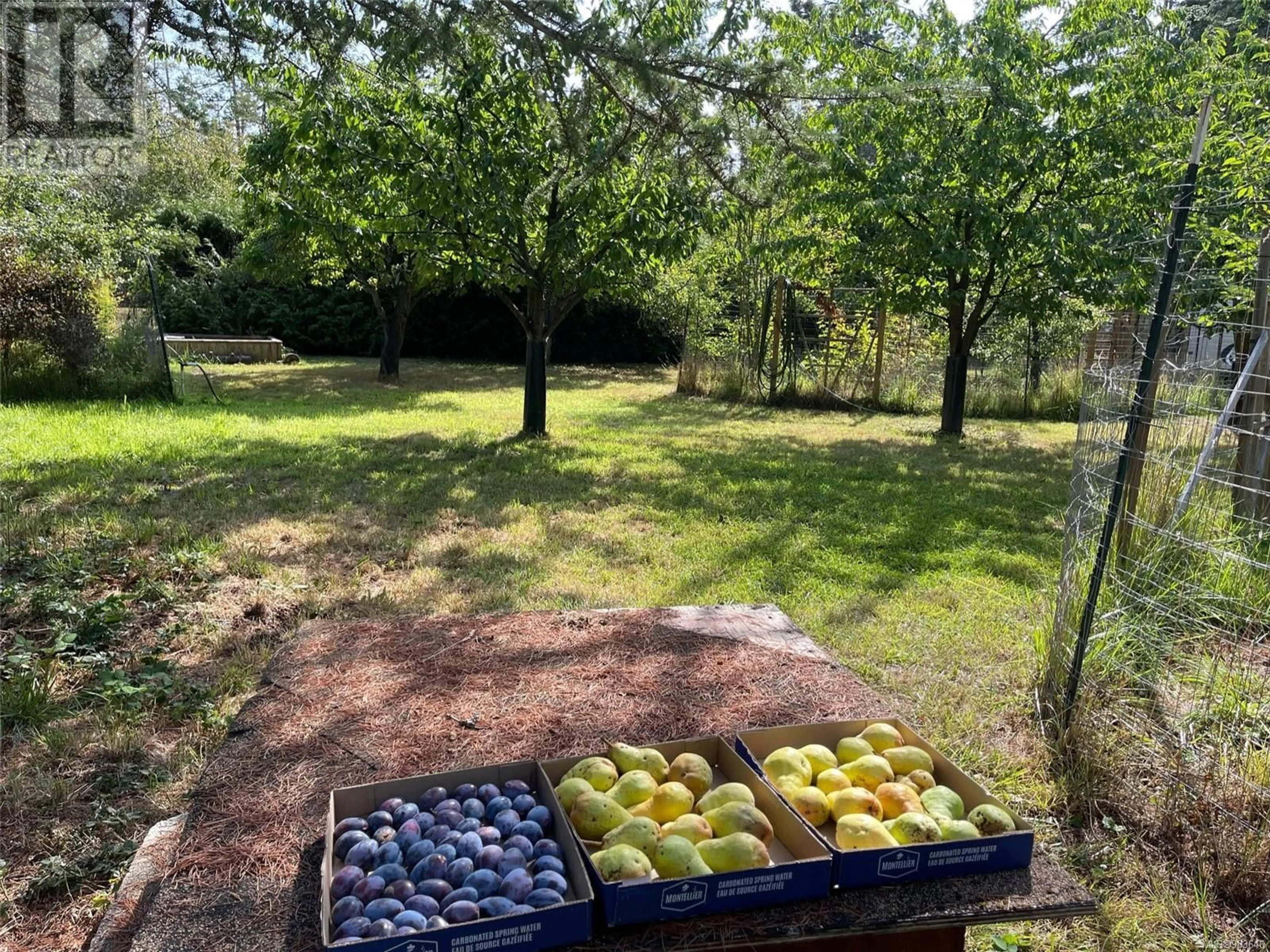 A pic from outside/outdoor area/front of a property/back of a property/a pic from drone, forest/trees view for 755 Towner Park Rd, North Saanich British Columbia V8L5L7