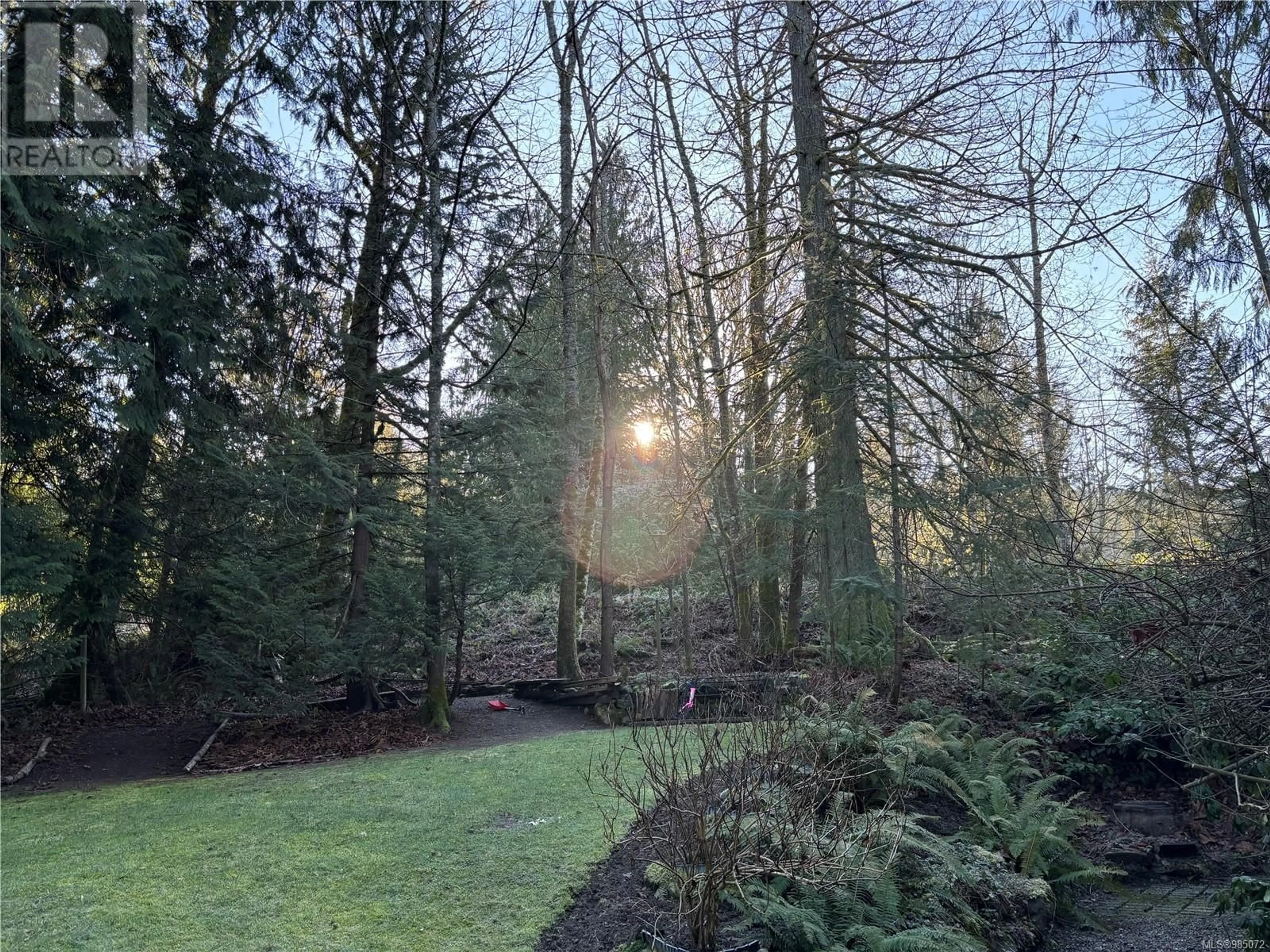 A pic from outside/outdoor area/front of a property/back of a property/a pic from drone, forest/trees view for 2423 Galland Rd, Shawnigan Lake British Columbia V0R2W2