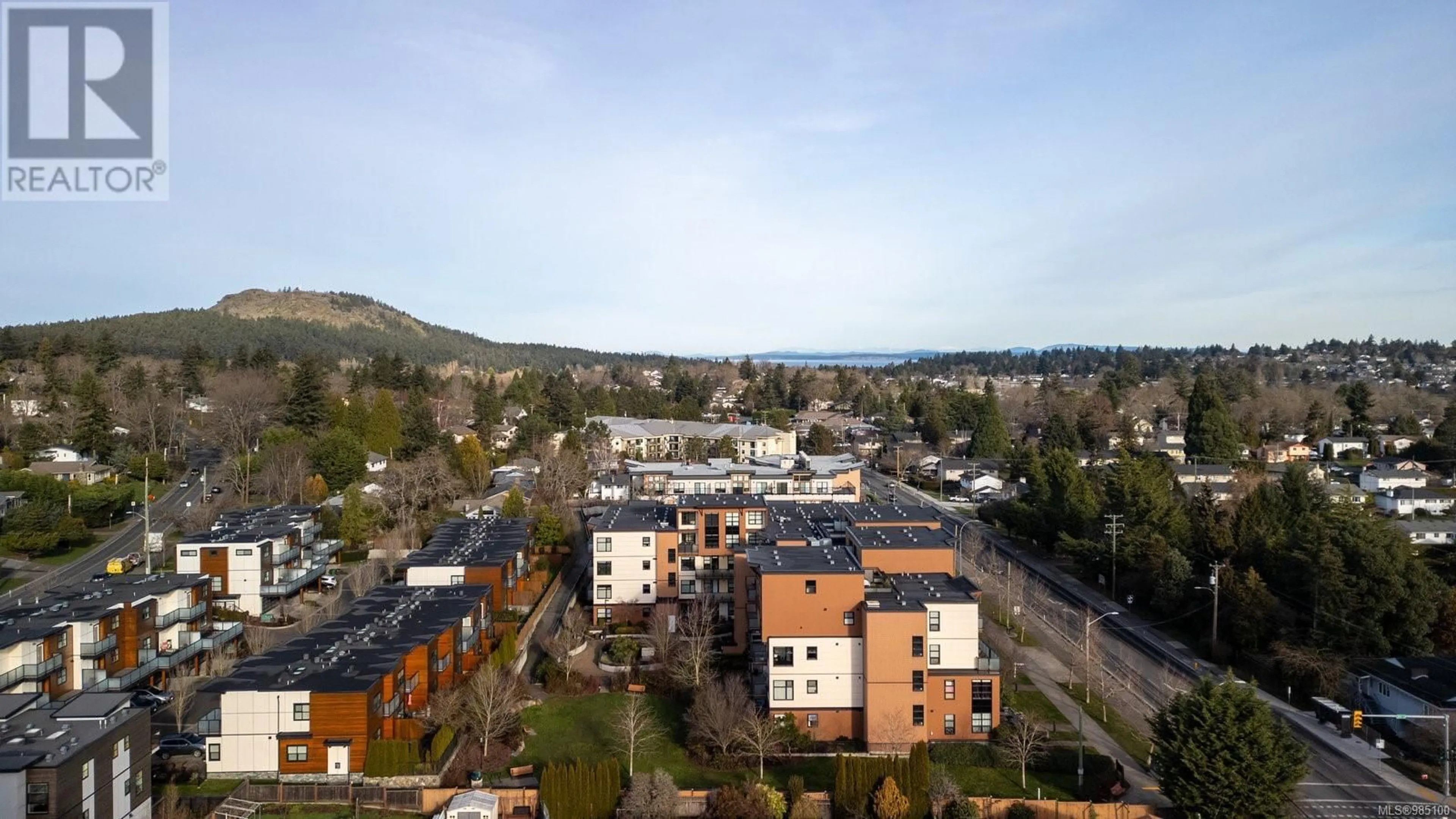 A pic from outside/outdoor area/front of a property/back of a property/a pic from drone, city buildings view from balcony for 303 4000 Shelbourne St, Saanich British Columbia V8N0B6