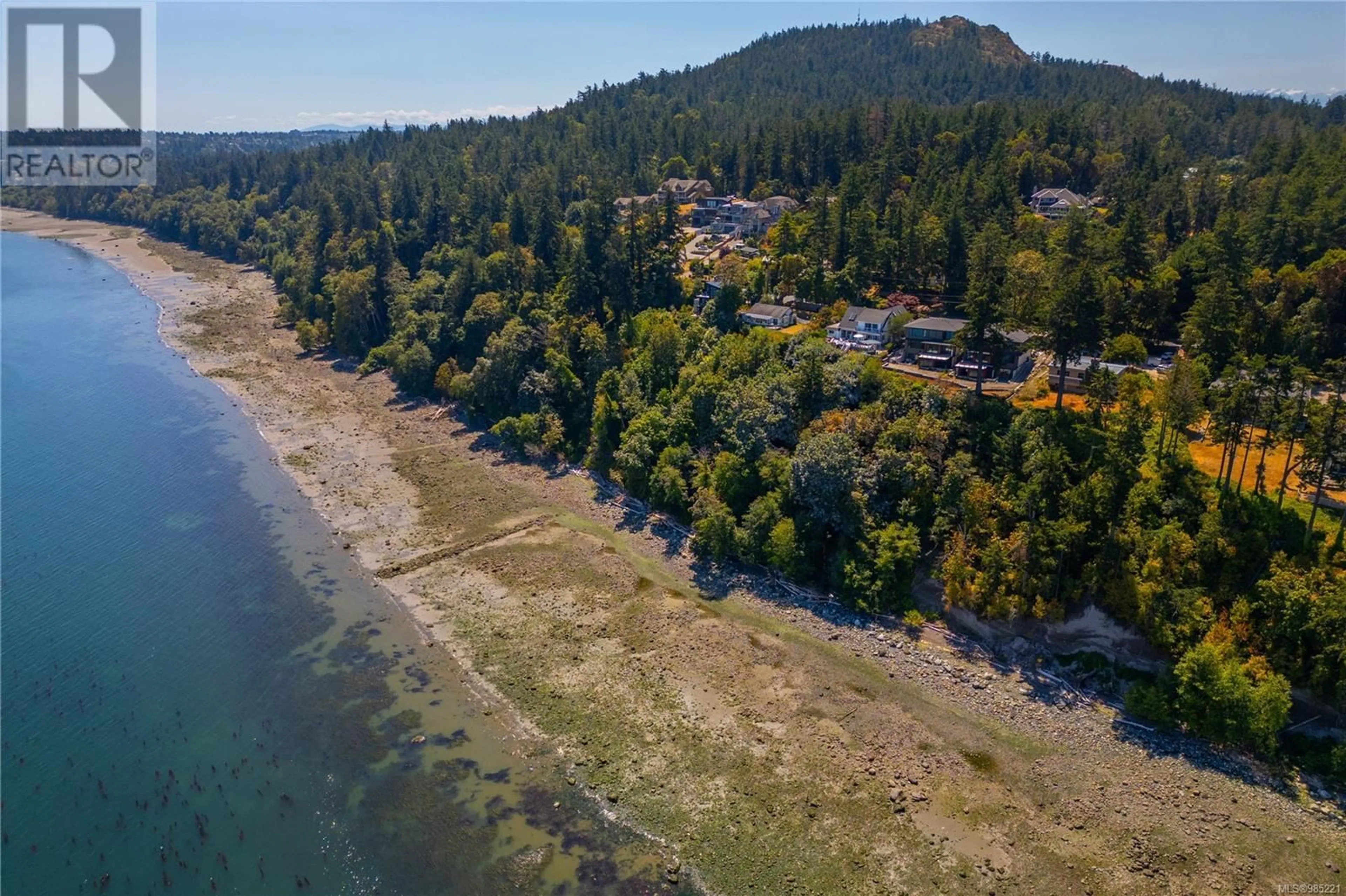 A pic from outside/outdoor area/front of a property/back of a property/a pic from drone, water/lake/river/ocean view for 4601 Cordova Bay Rd, Saanich British Columbia V8X3V6