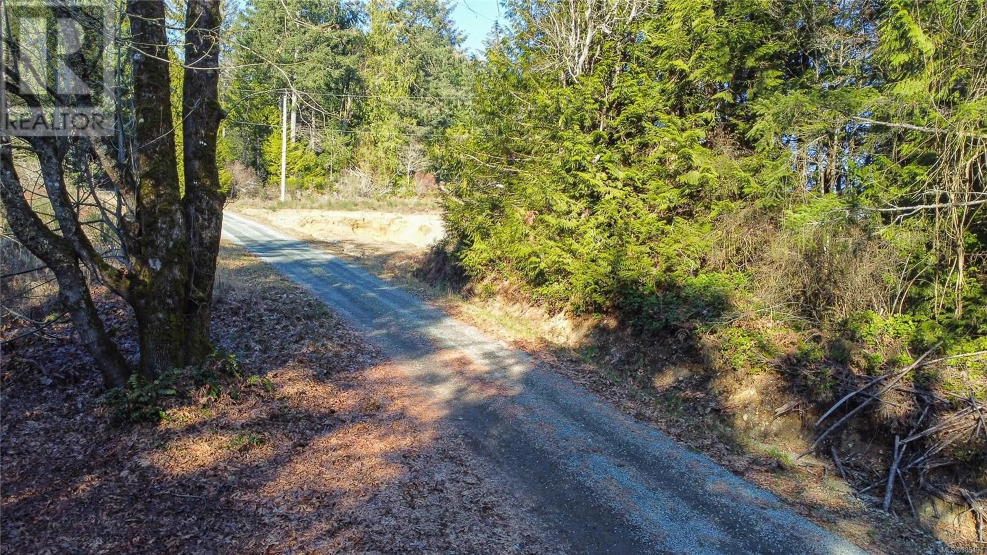 A pic from outside/outdoor area/front of a property/back of a property/a pic from drone, forest/trees view for 8018 Trans Canada Hwy, Duncan British Columbia V9L3R9