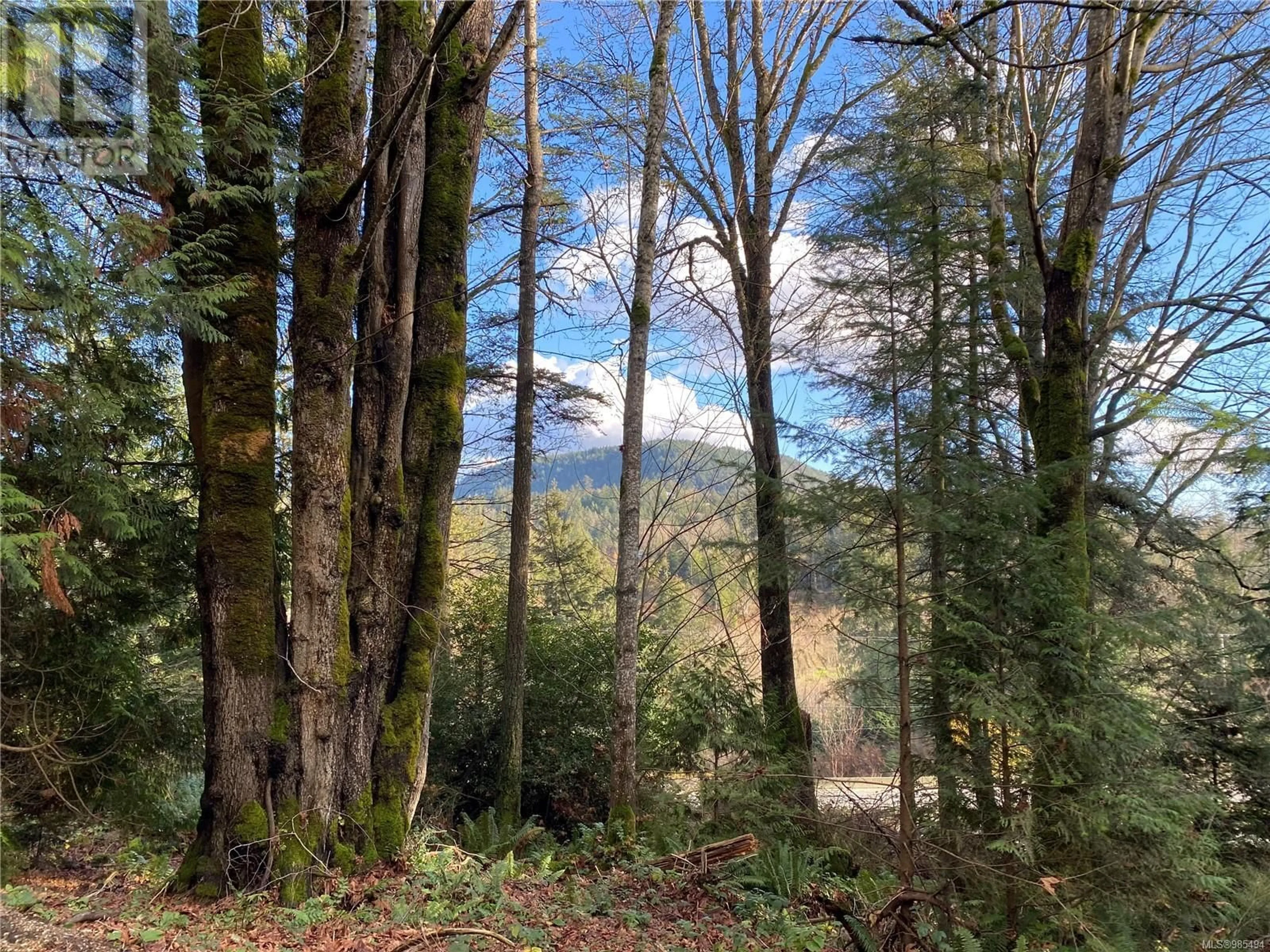 A pic from outside/outdoor area/front of a property/back of a property/a pic from drone, forest/trees view for 8018 Trans Canada Hwy, Duncan British Columbia V9L3R9