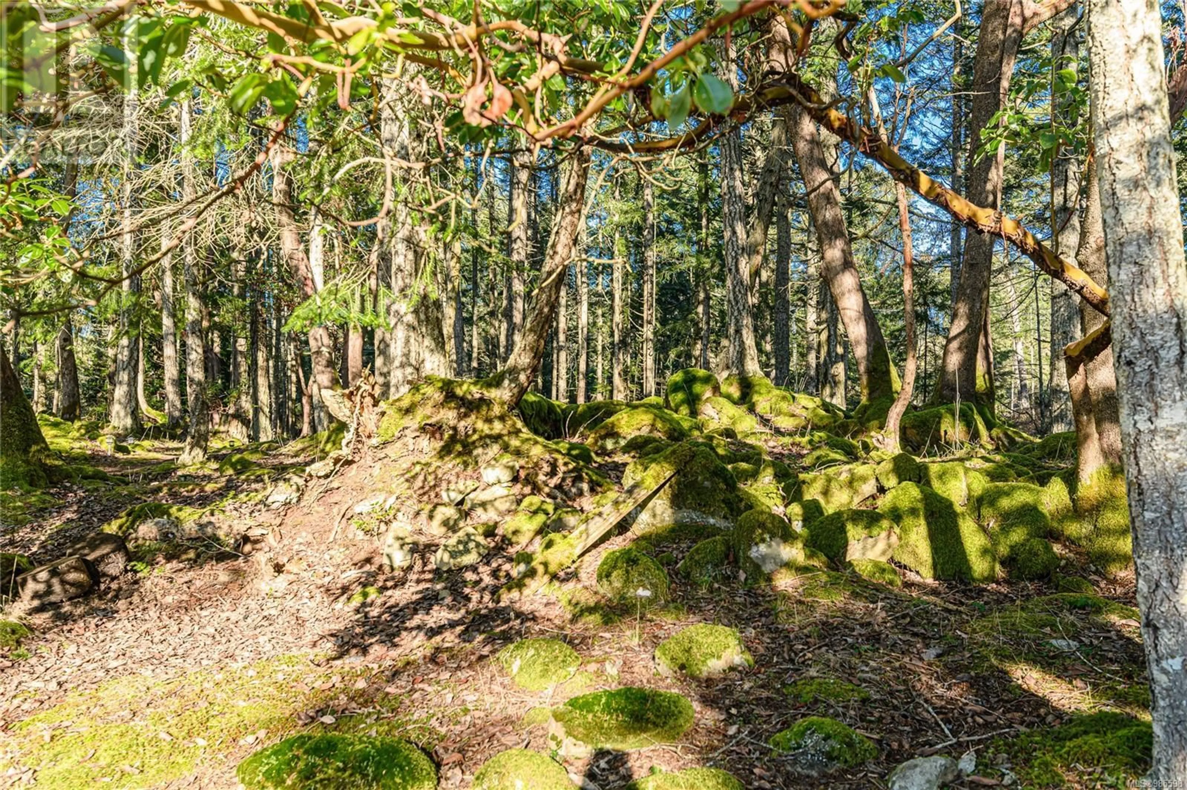 A pic from outside/outdoor area/front of a property/back of a property/a pic from drone, forest/trees view for 823 Nose Point Rd, Salt Spring British Columbia V8K1S5