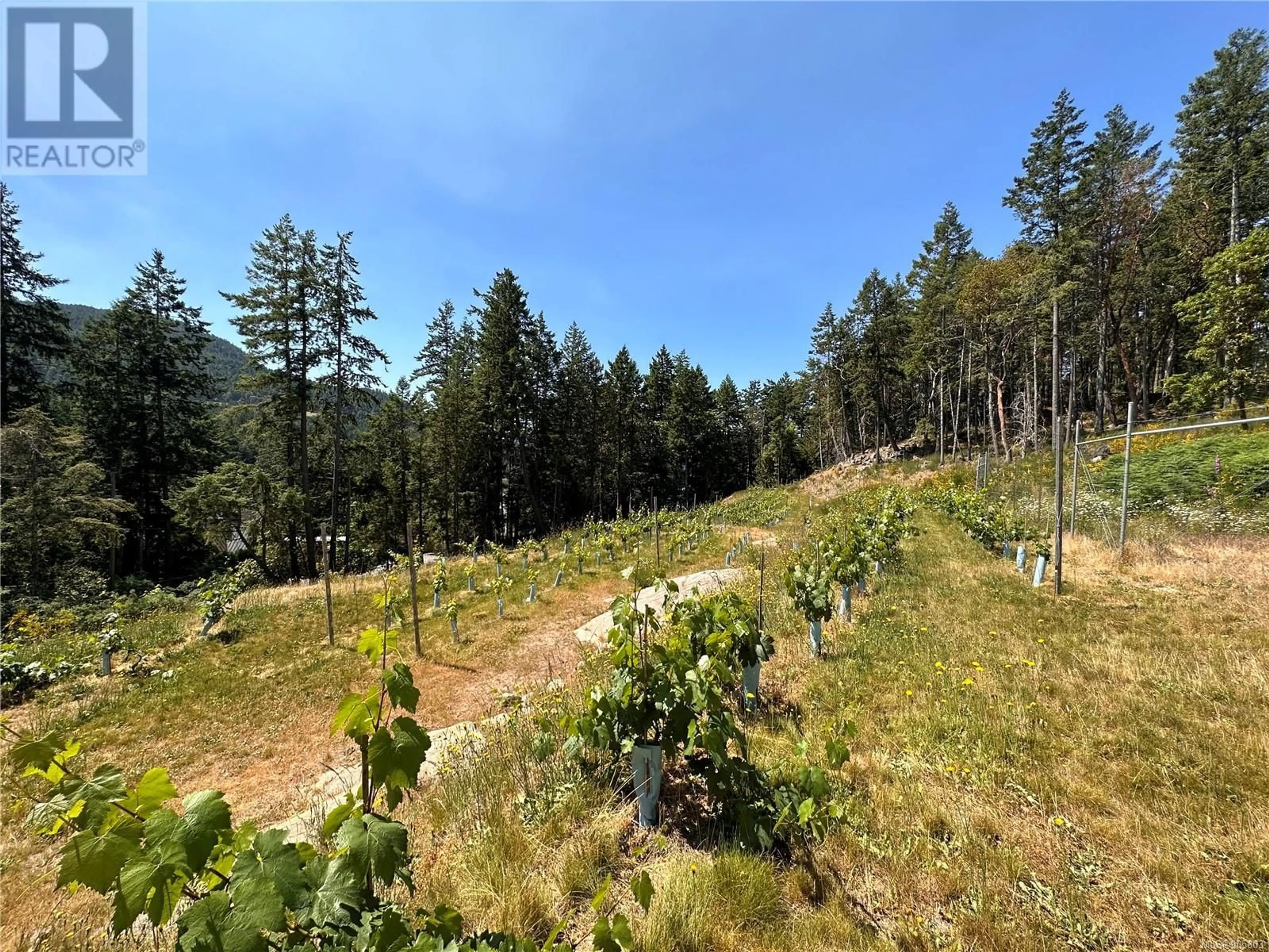 A pic from outside/outdoor area/front of a property/back of a property/a pic from drone, forest/trees view for 400 Baker Rd, Salt Spring British Columbia V8K2N5