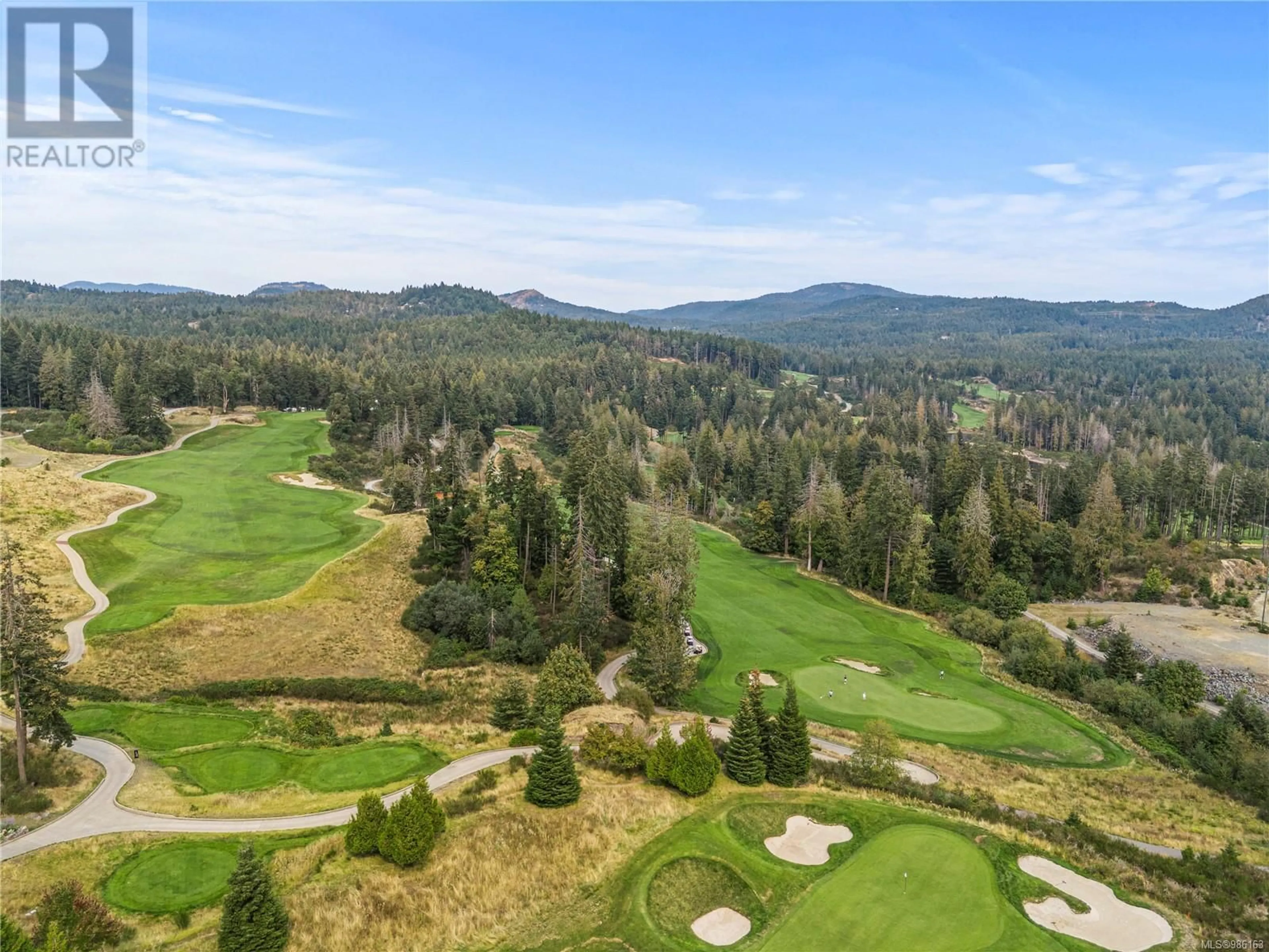 A pic from outside/outdoor area/front of a property/back of a property/a pic from drone, forest/trees view for 1210 Flint Ave, Langford British Columbia V9B0L2