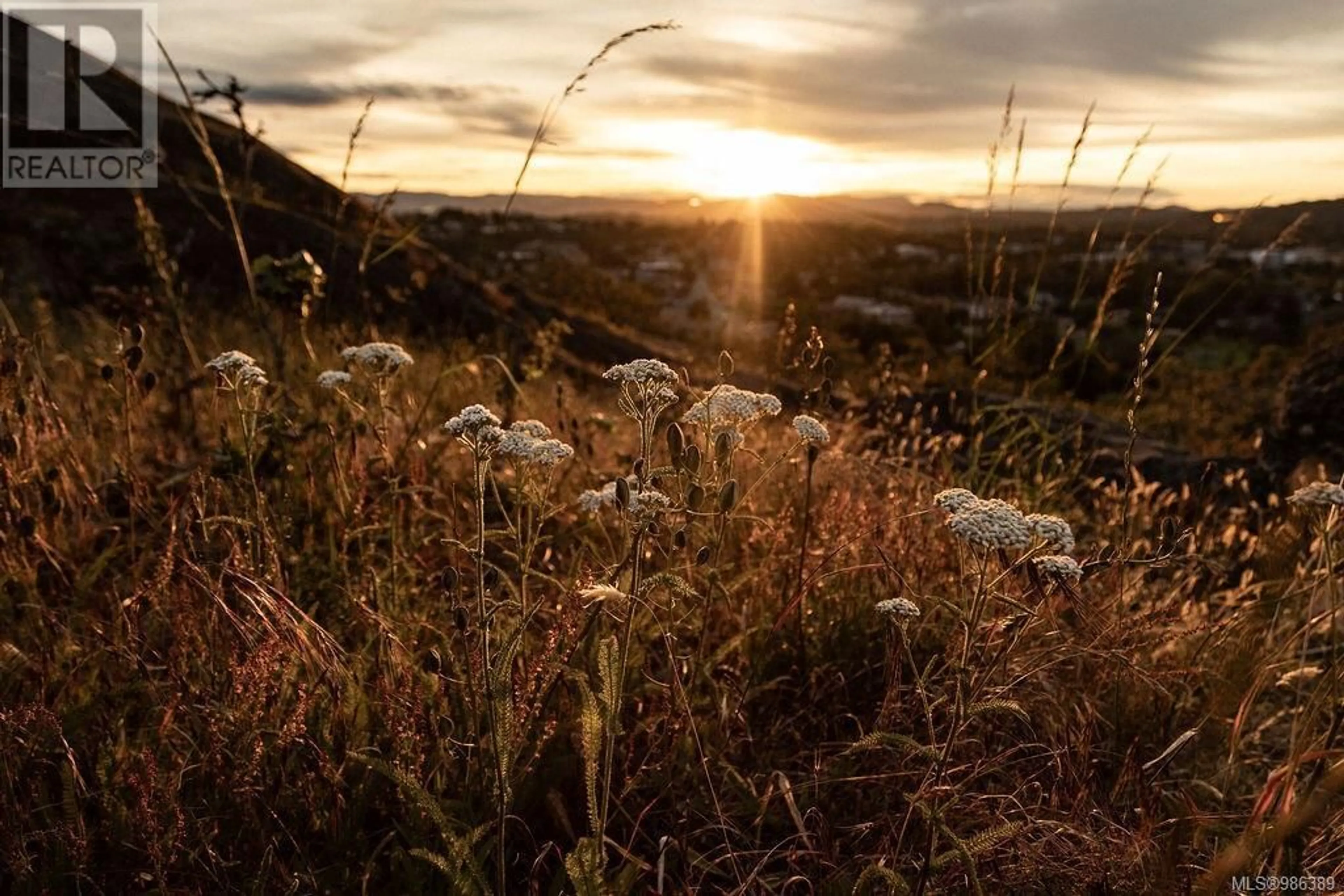 Blurry image for 4-203 - 4201 TYNDALL AVENUE, Saanich British Columbia V8N3R9