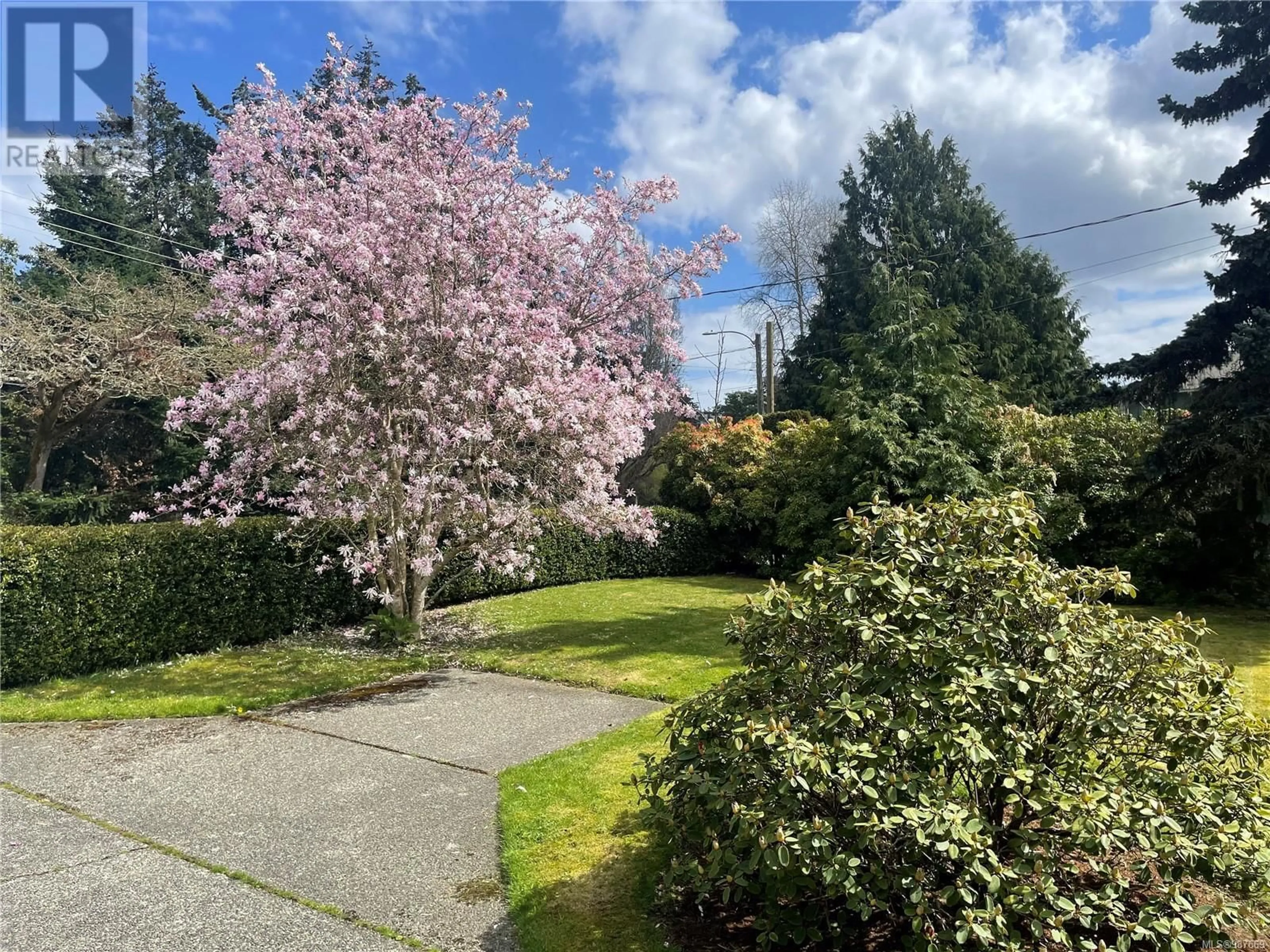 A pic from outside/outdoor area/front of a property/back of a property/a pic from drone, street for 4790 CORDOVA BAY ROAD, Saanich British Columbia V8Y2J5