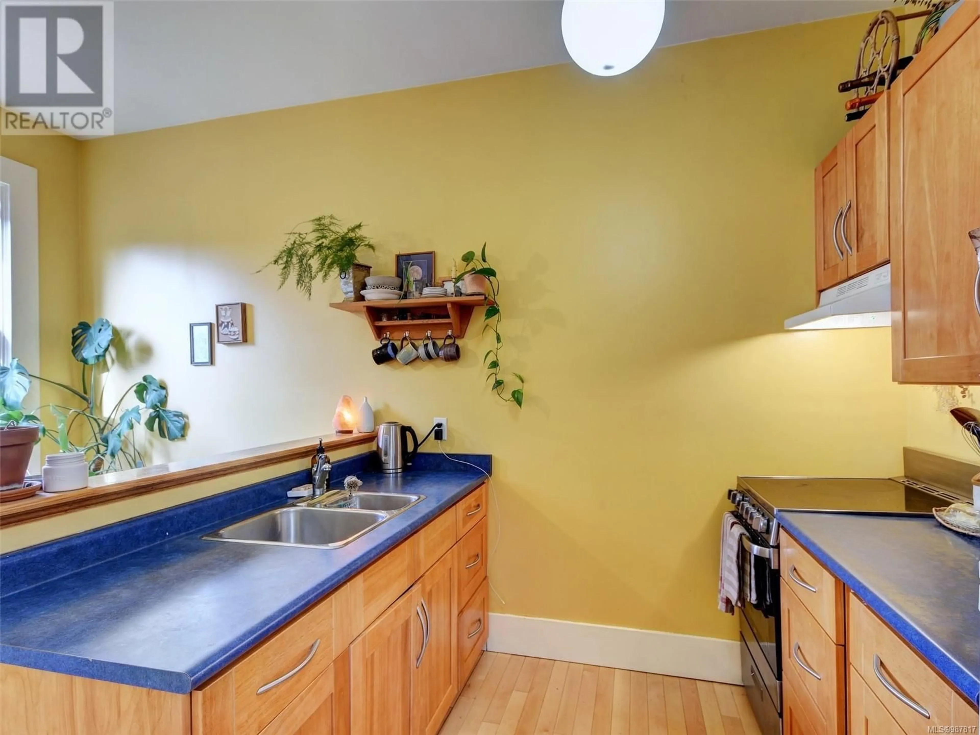 Standard kitchen, unknown for 927/929 Caledonia Ave, Victoria British Columbia V8T1E7