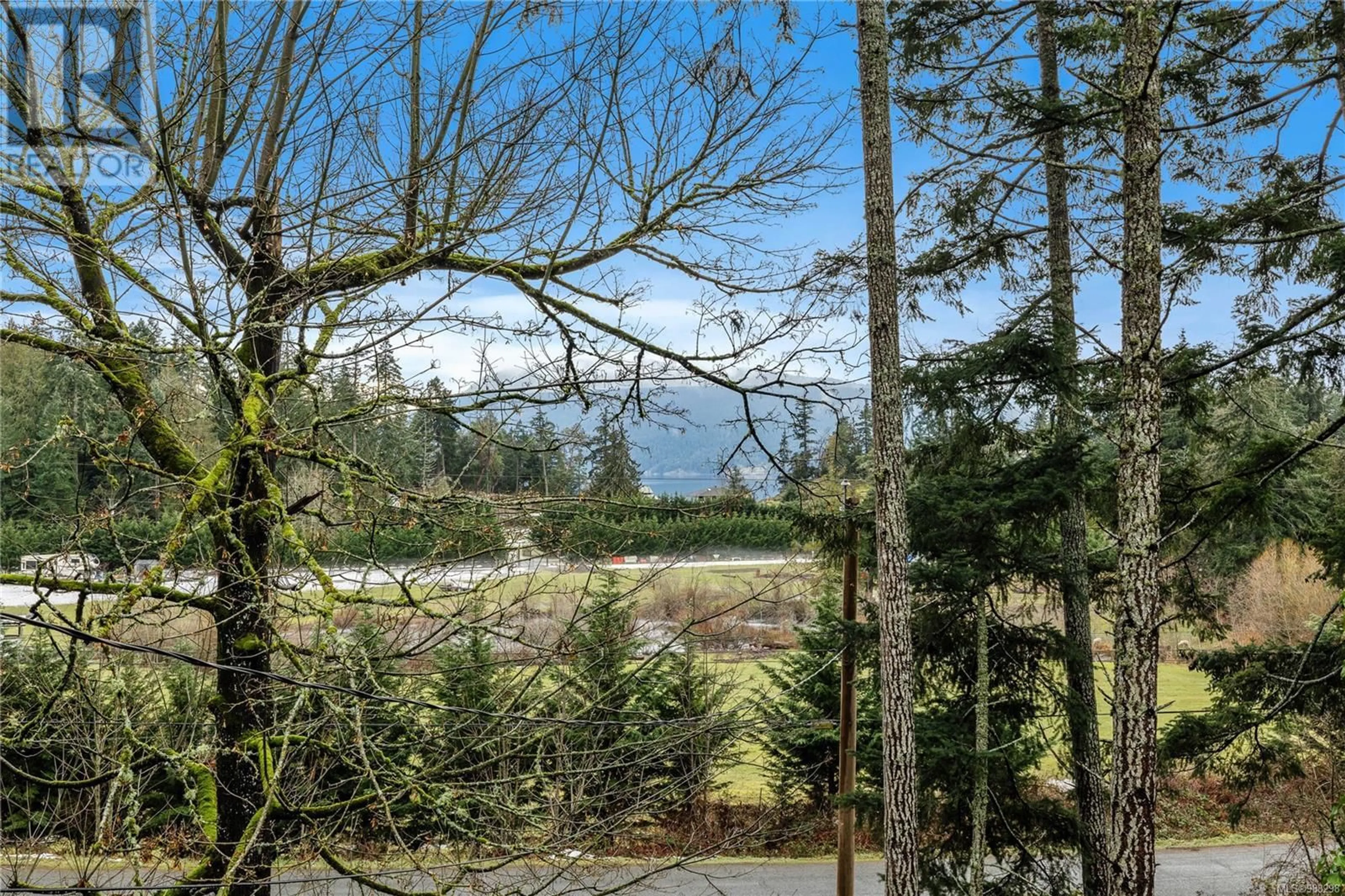 A pic from outside/outdoor area/front of a property/back of a property/a pic from drone, forest/trees view for 238 Elizabeth Dr, Salt Spring British Columbia V8K1K8