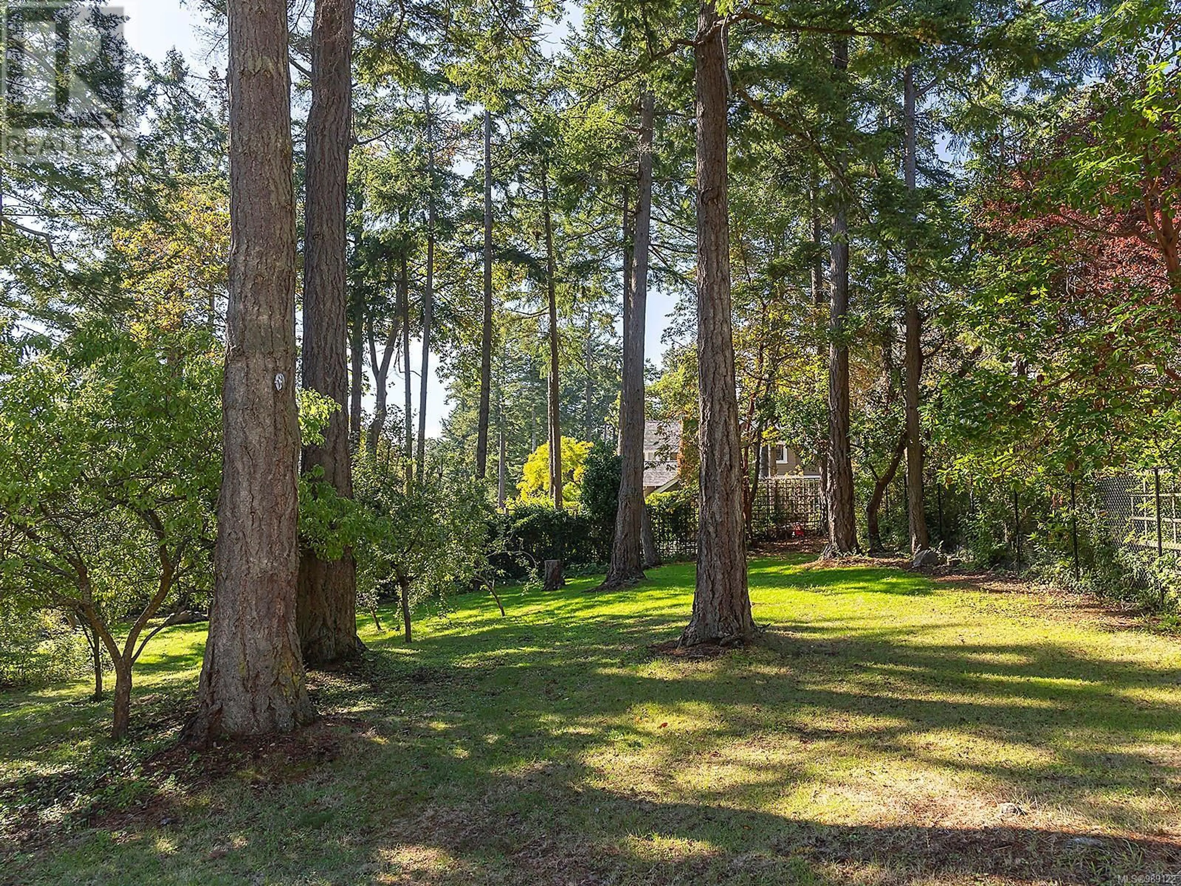 A pic from outside/outdoor area/front of a property/back of a property/a pic from drone, forest/trees view for 2905 Tudor Ave, Saanich British Columbia V8N1M2