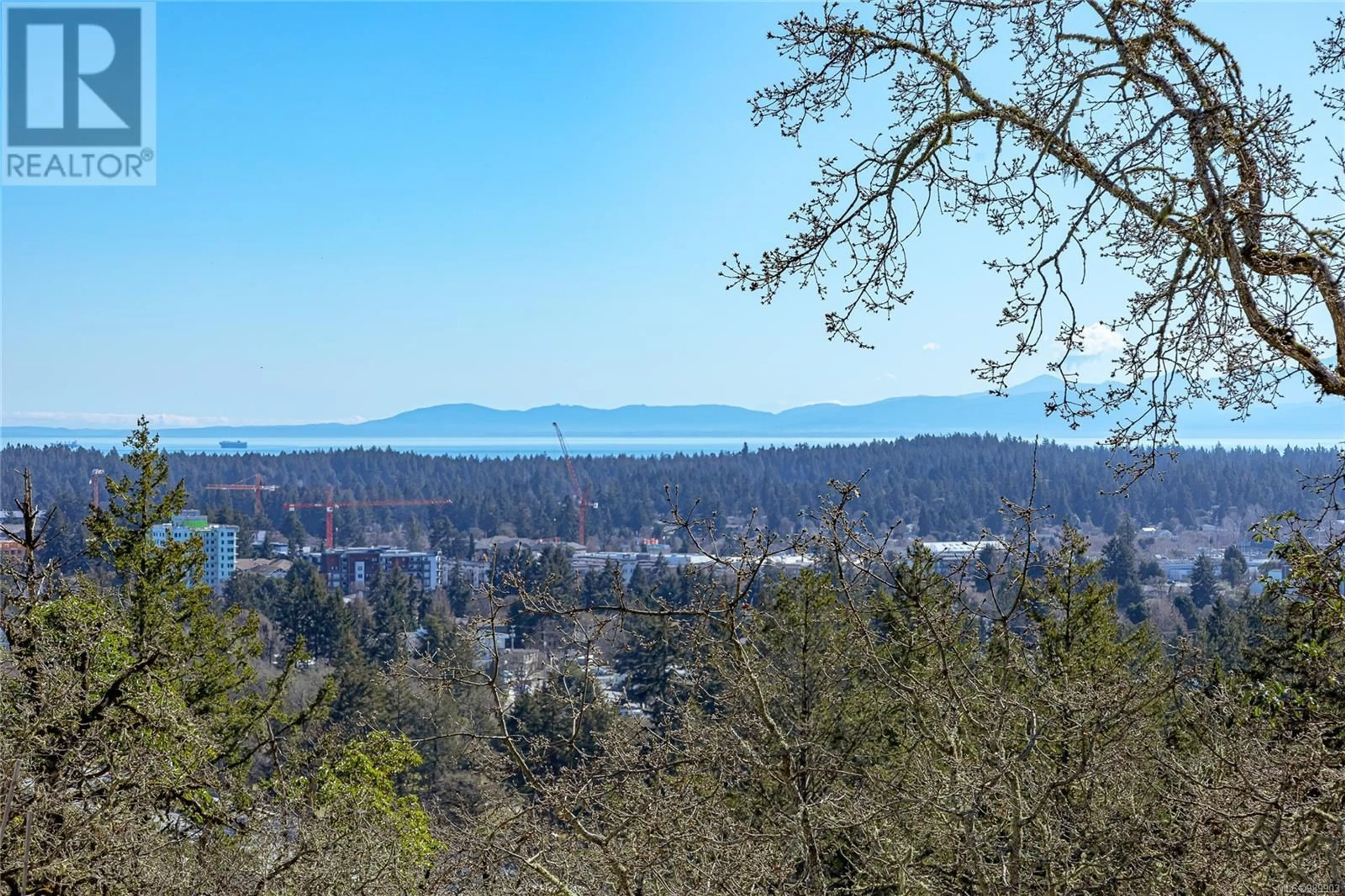 A pic from outside/outdoor area/front of a property/back of a property/a pic from drone, forest/trees view for 1307 FLINT AVENUE, Langford British Columbia V9B0Z8