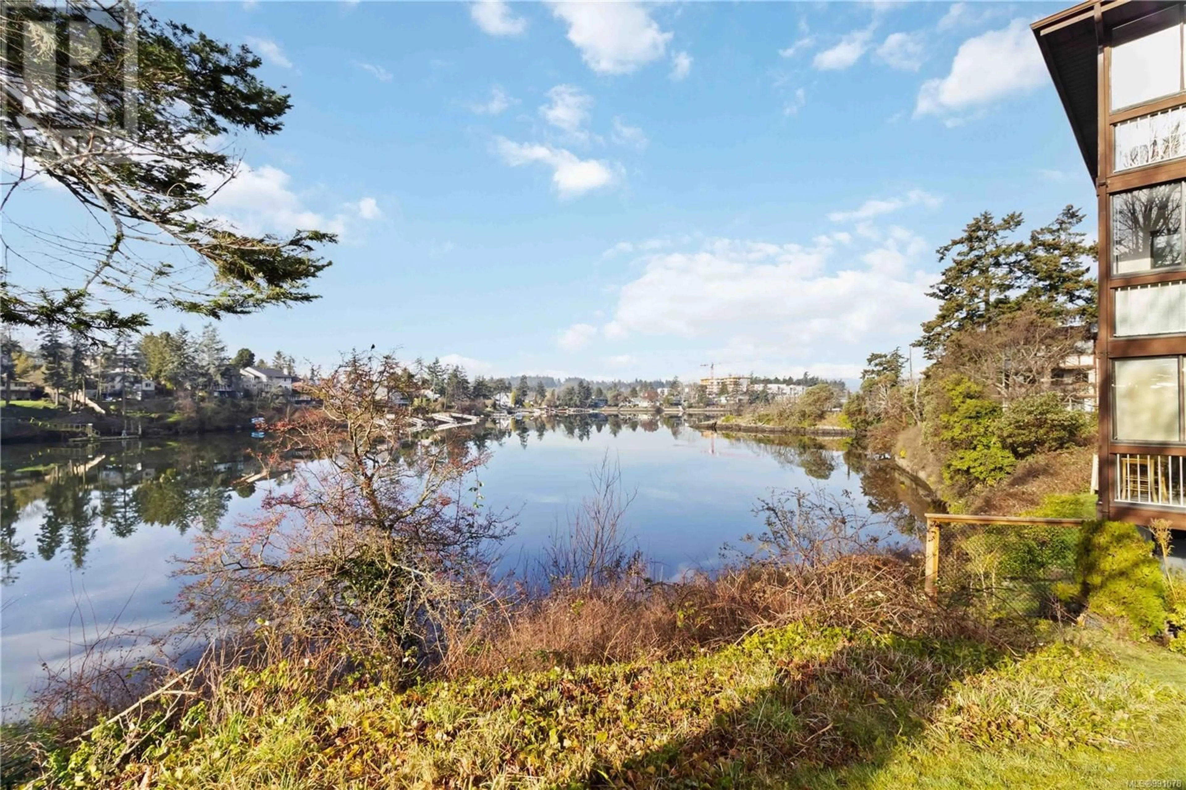 A pic from outside/outdoor area/front of a property/back of a property/a pic from drone, water/lake/river/ocean view for 303 71 Gorge Rd W, Saanich British Columbia V9A1L9