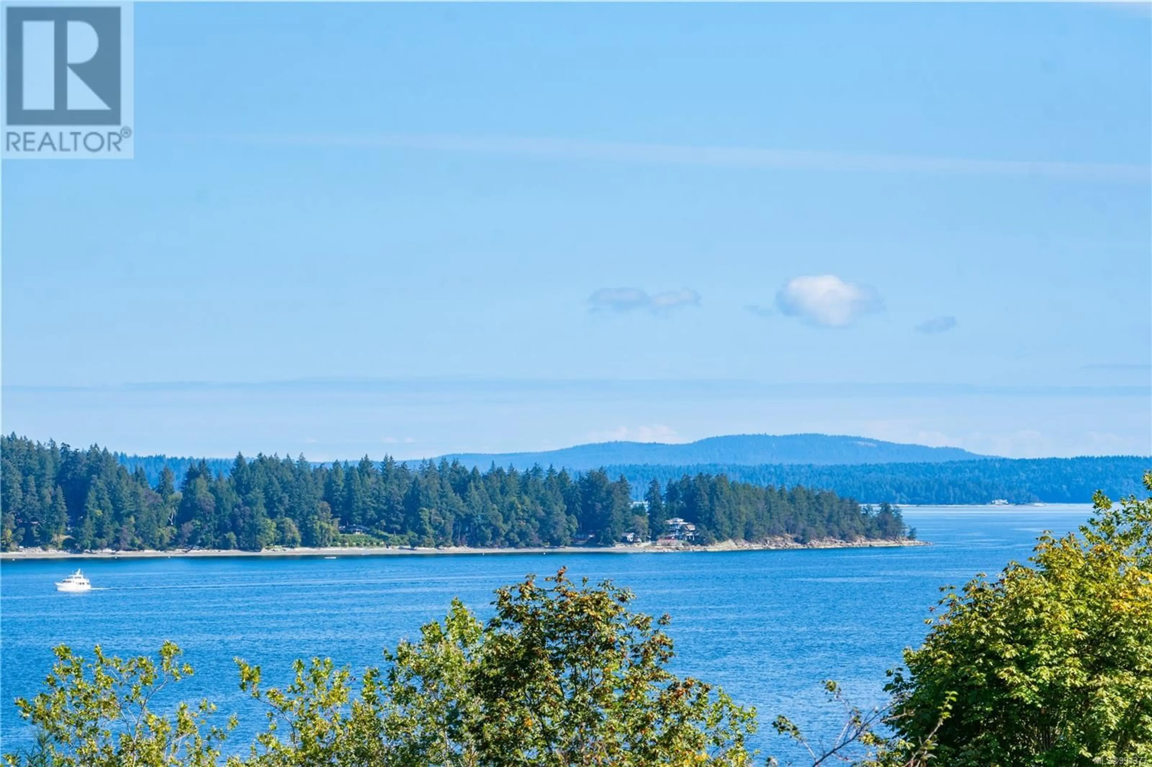 Blurry image for 293 BAYVIEW AVENUE, Ladysmith British Columbia V9G1A4