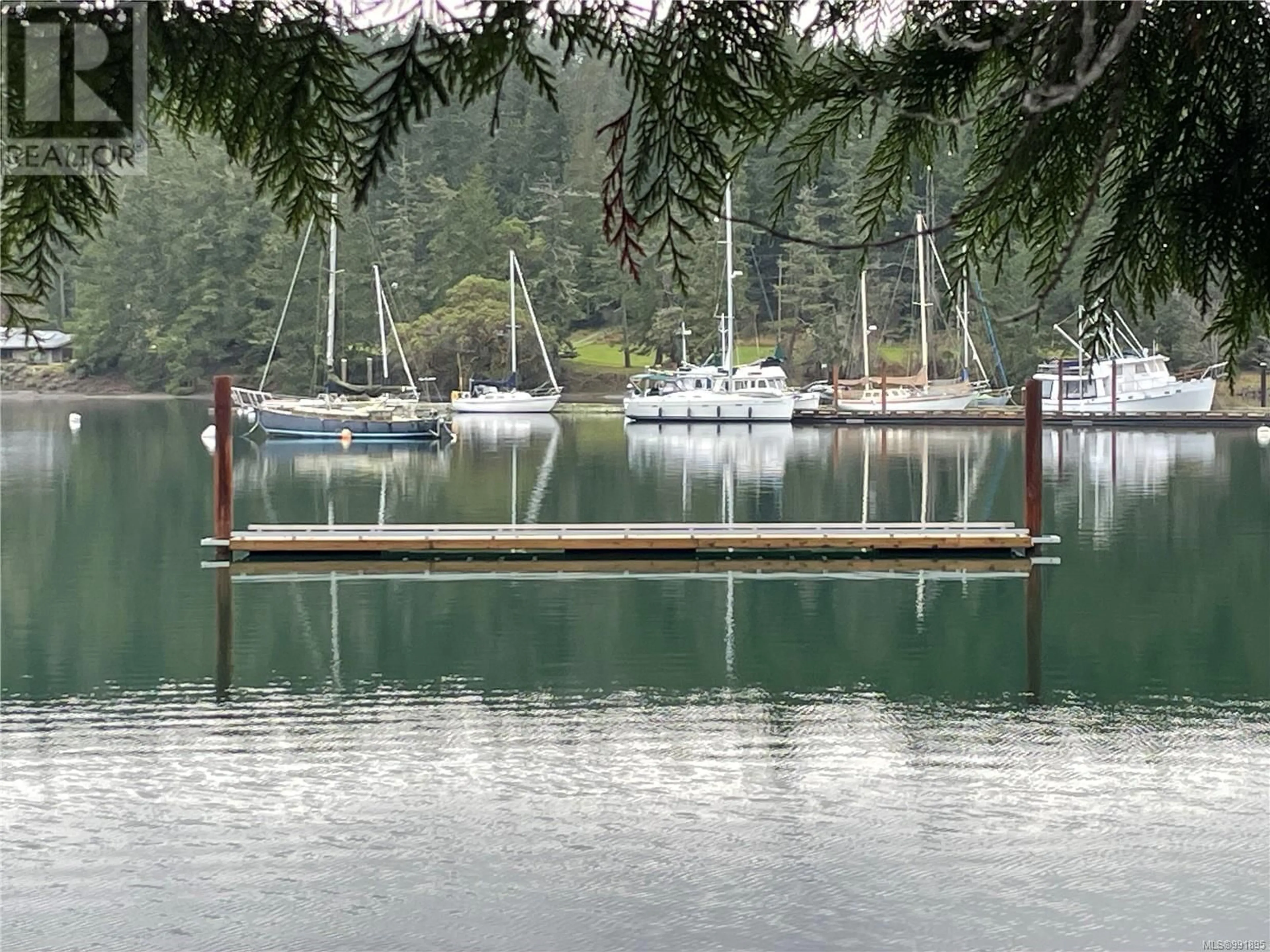 A pic from outside/outdoor area/front of a property/back of a property/a pic from drone, water/lake/river/ocean view for 274 QUEBEC DRIVE, Salt Spring British Columbia V8K2L5
