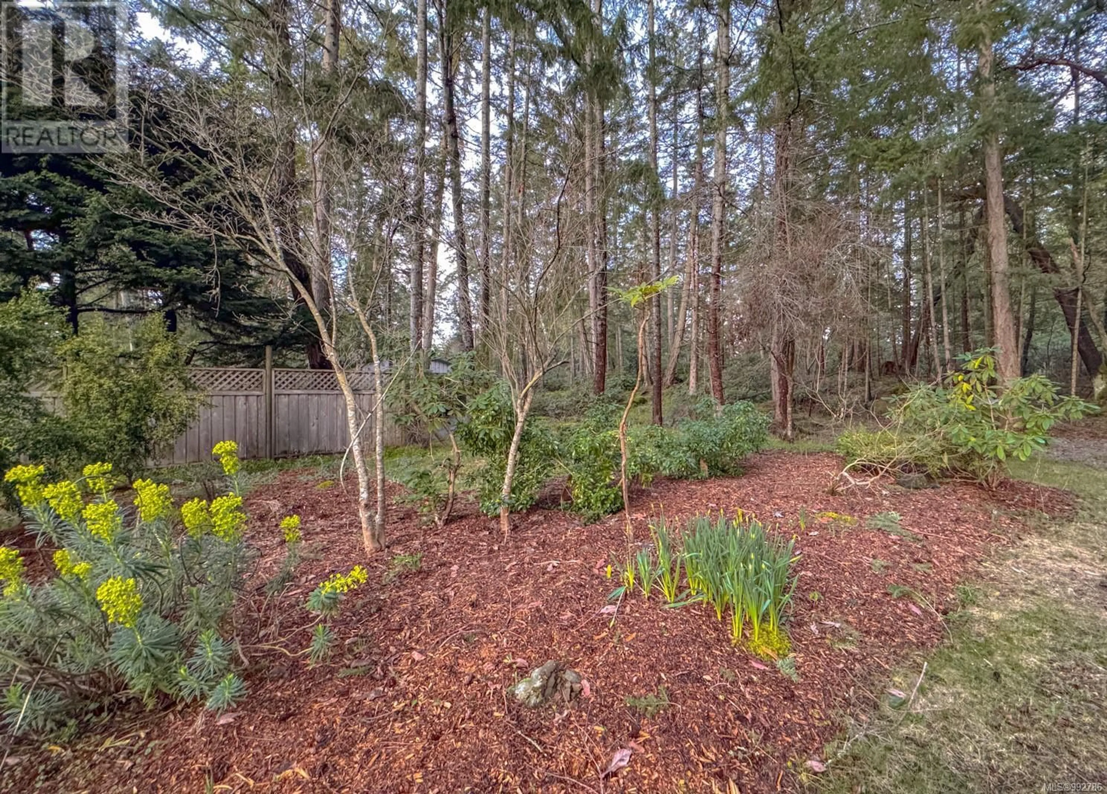 A pic from outside/outdoor area/front of a property/back of a property/a pic from drone, forest/trees view for 851 CANSO ROAD, Gabriola Island British Columbia V0R1X2