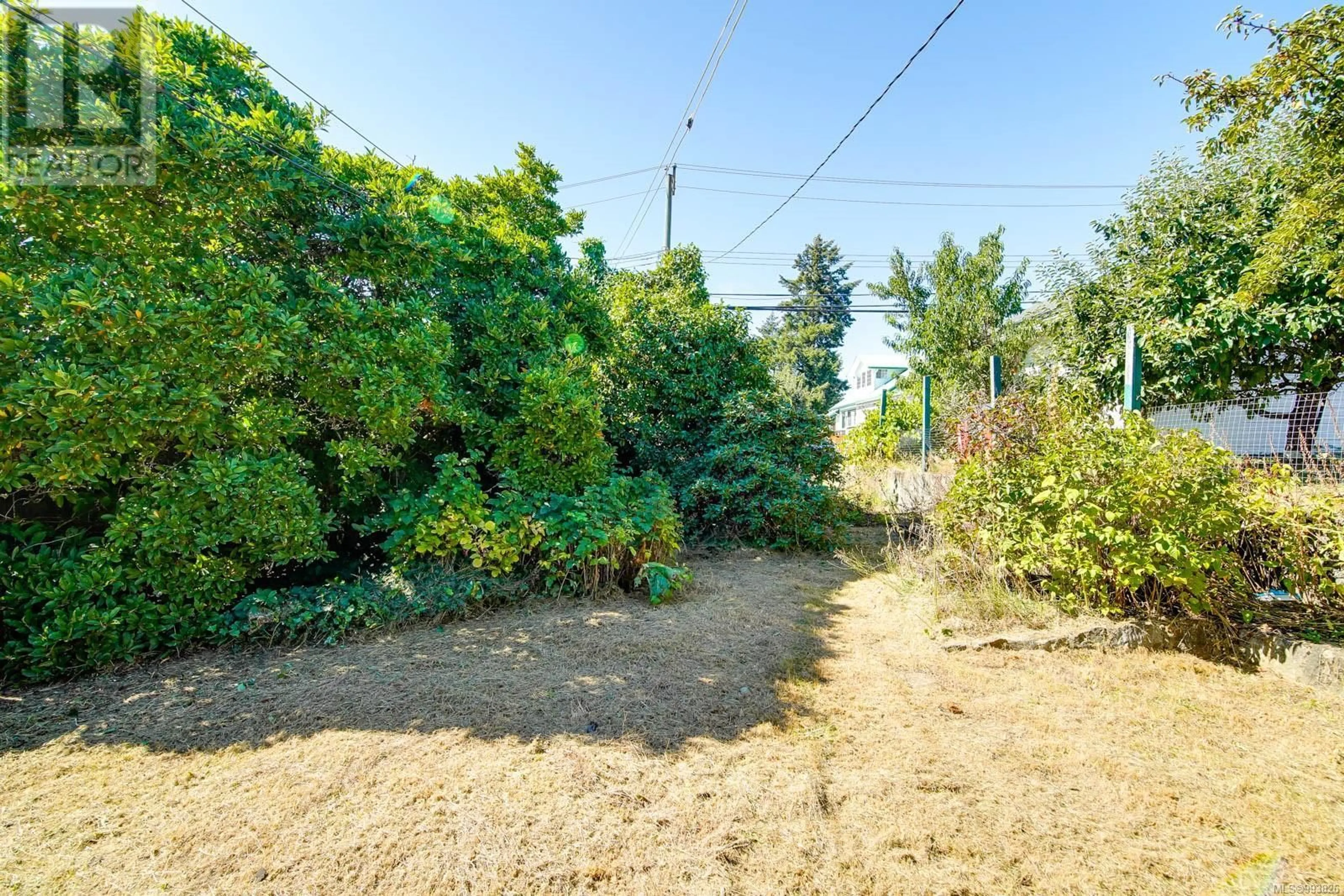 A pic from outside/outdoor area/front of a property/back of a property/a pic from drone, forest/trees view for 2820 3RD AVENUE, Port Alberni British Columbia V9Y2A8