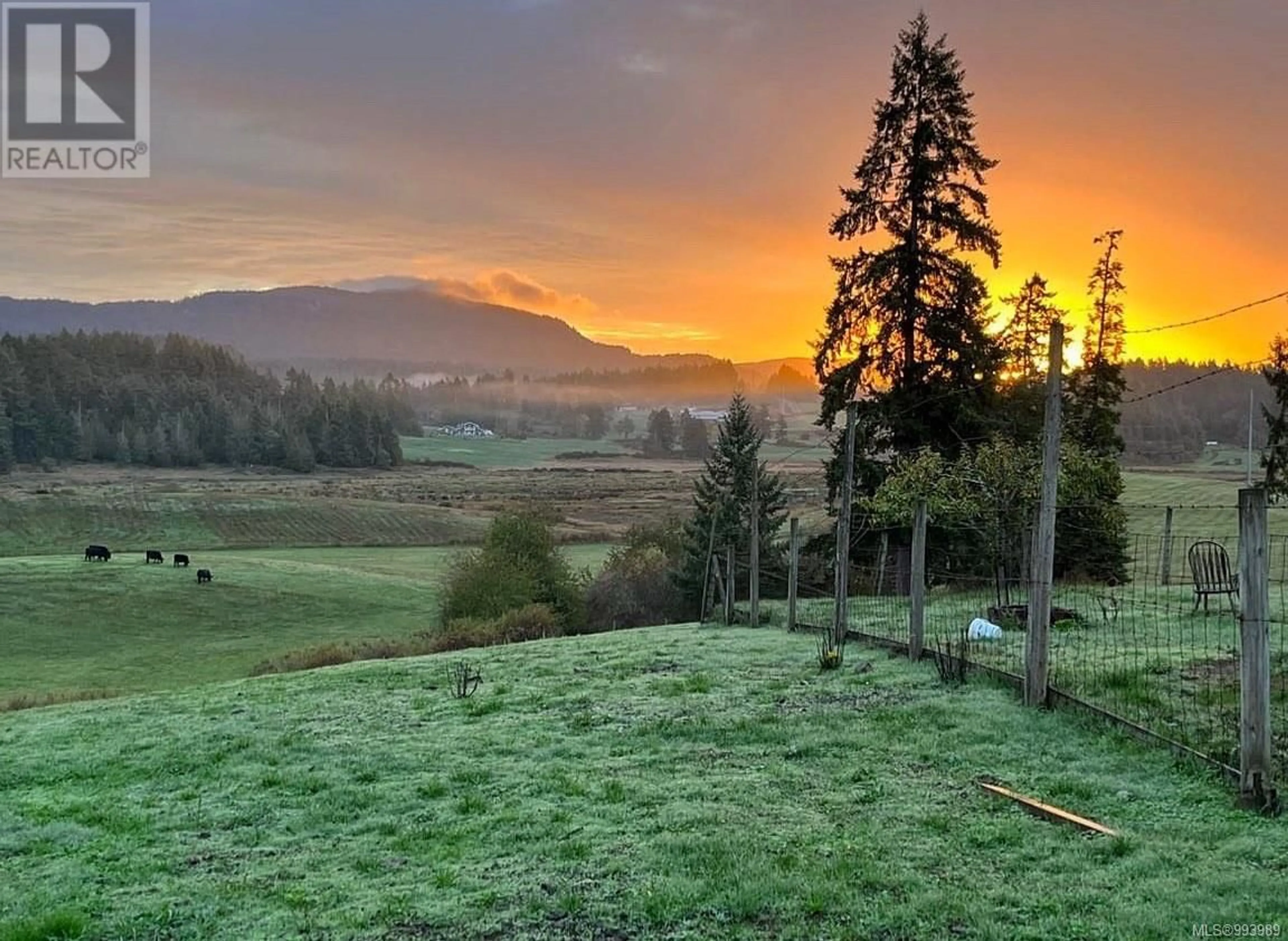 A pic from outside/outdoor area/front of a property/back of a property/a pic from drone, mountain view for 7087 MAYS ROAD, Duncan British Columbia V9L6A6