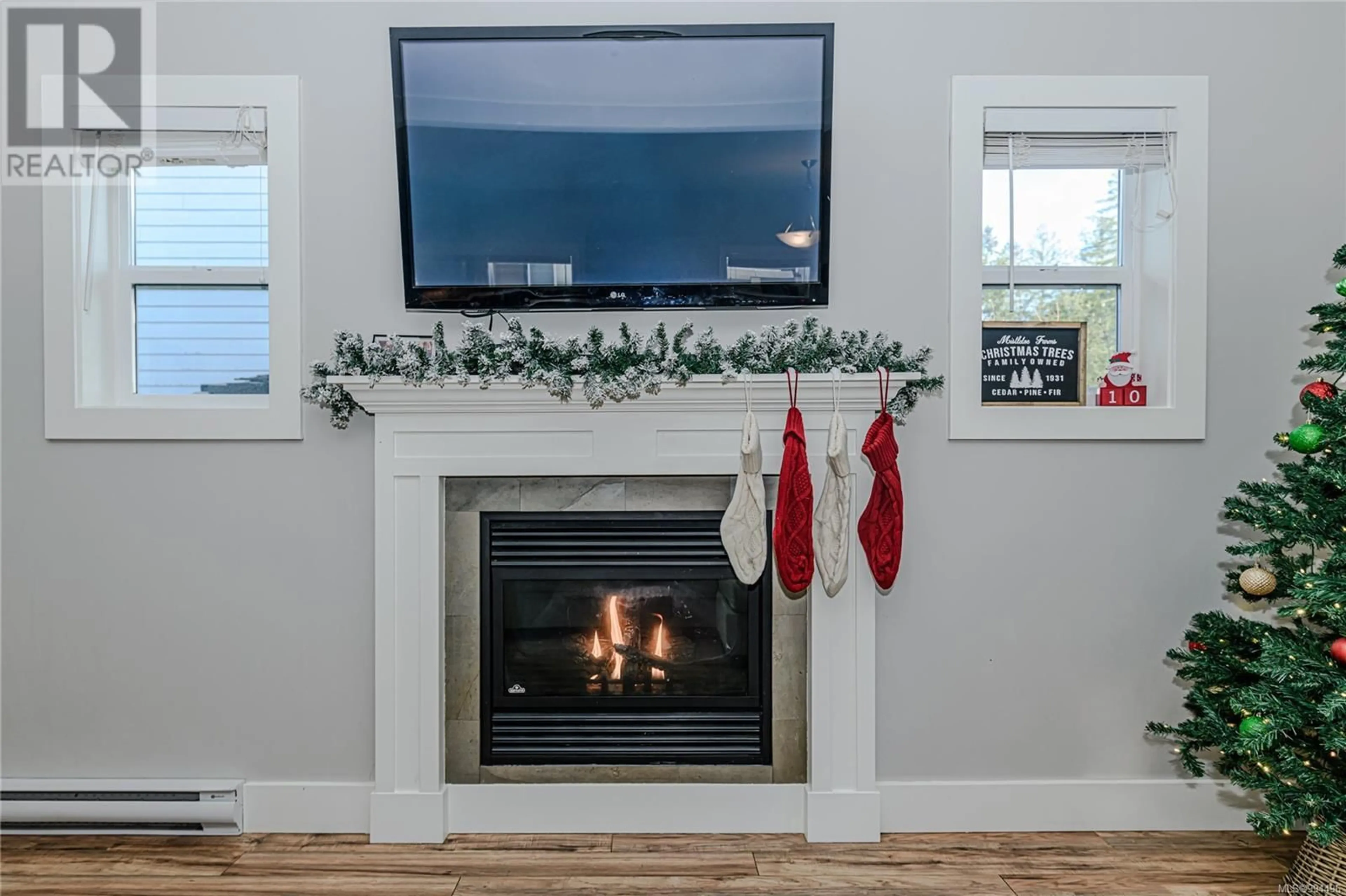 Home theater for 1043 SKYLAR CIRCLE, Shawnigan Lake British Columbia V0R2W3