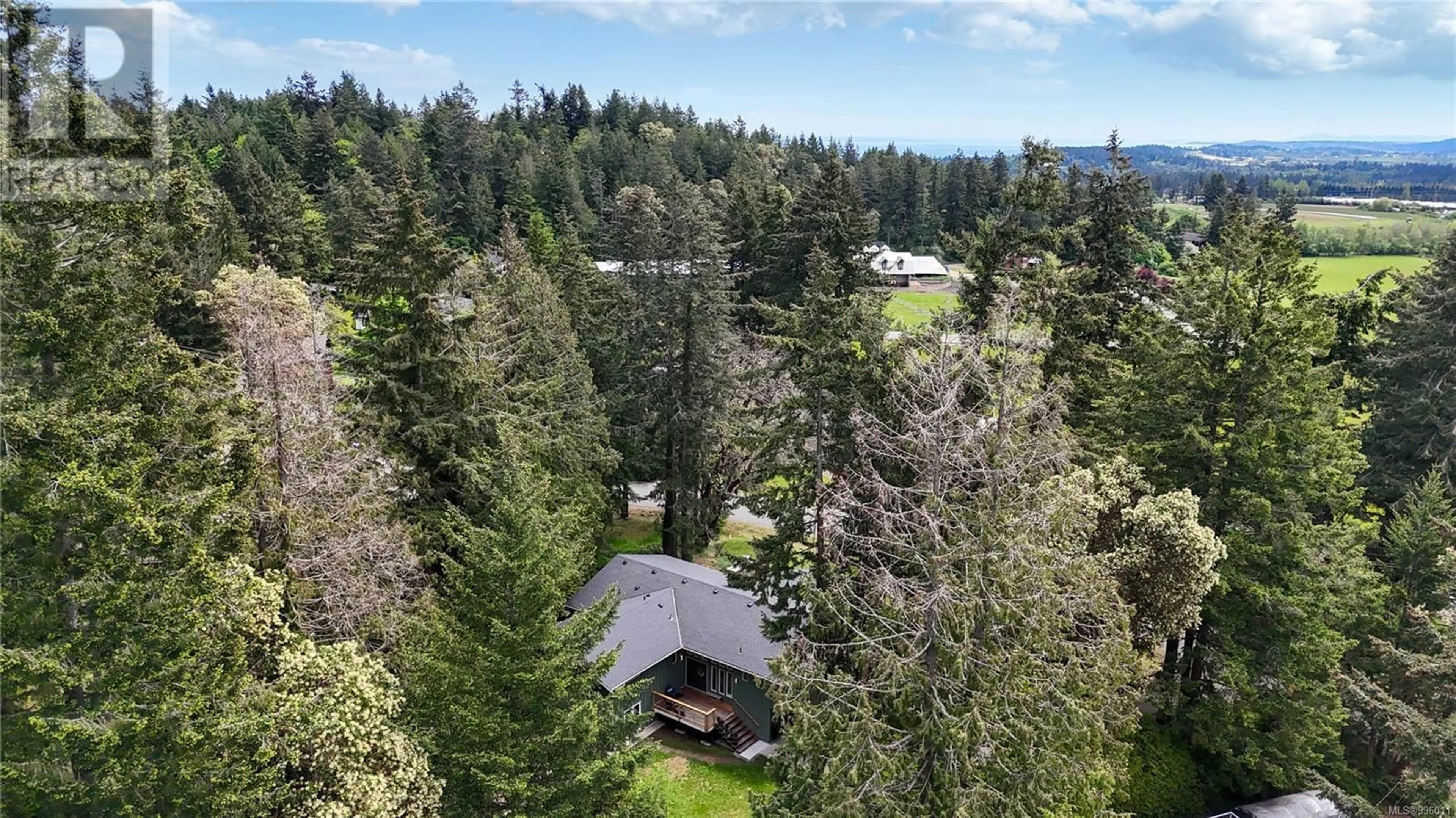 A pic from outside/outdoor area/front of a property/back of a property/a pic from drone, forest/trees view for 1940 SANDOVER CRESCENT, North Saanich British Columbia V8L1A1