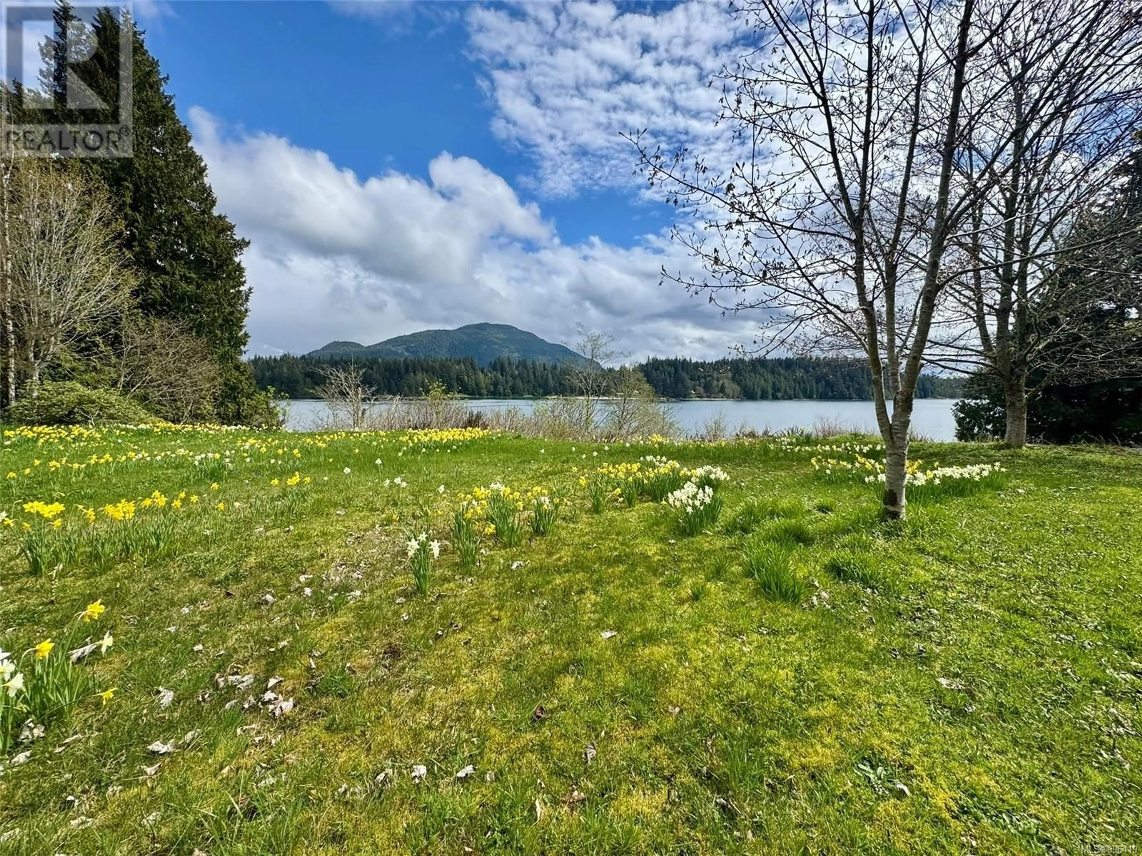A pic from outside/outdoor area/front of a property/back of a property/a pic from drone, water/lake/river/ocean view for DL205 PORT NEVILLE, See Remarks British Columbia V0P1R0