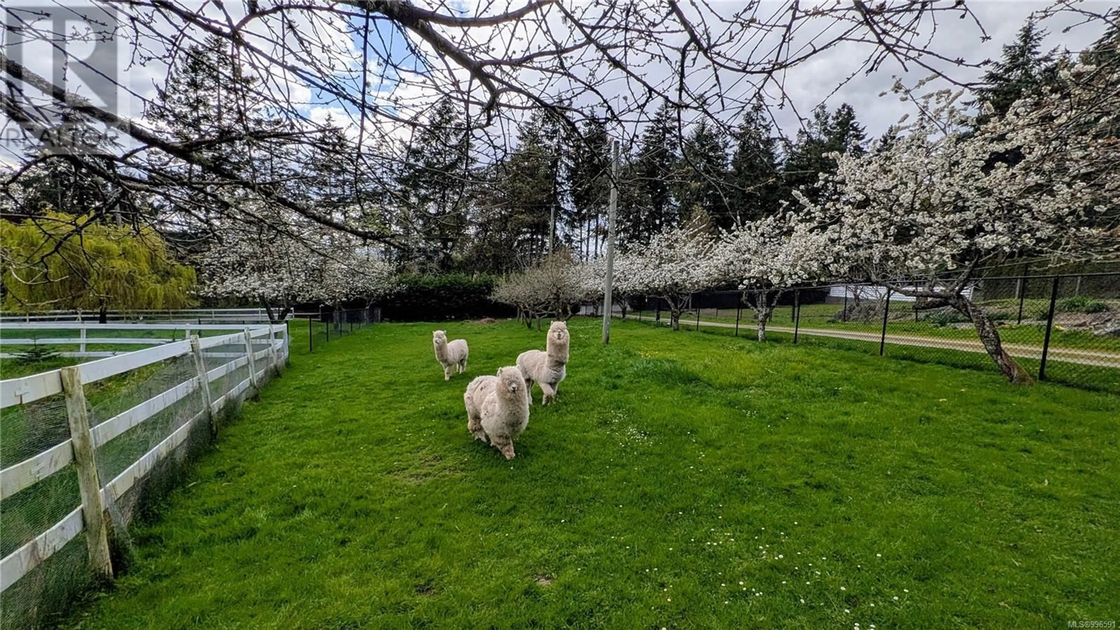 A pic from outside/outdoor area/front of a property/back of a property/a pic from drone, forest/trees view for 11255 NITINAT ROAD, North Saanich British Columbia V8L5R8