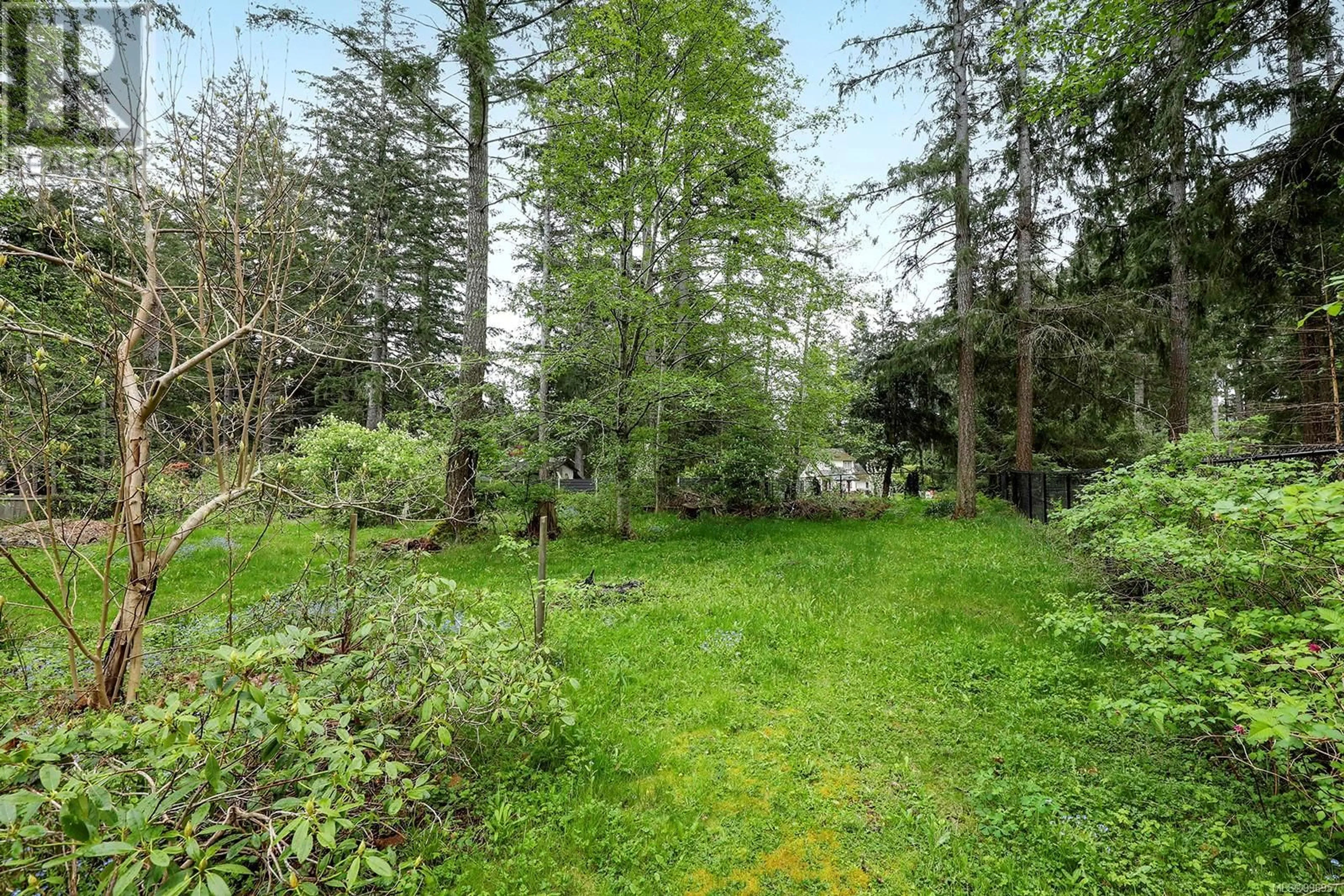 Patio, forest/trees view for 2373 ELMO ROAD, Courtenay British Columbia V9J1S4