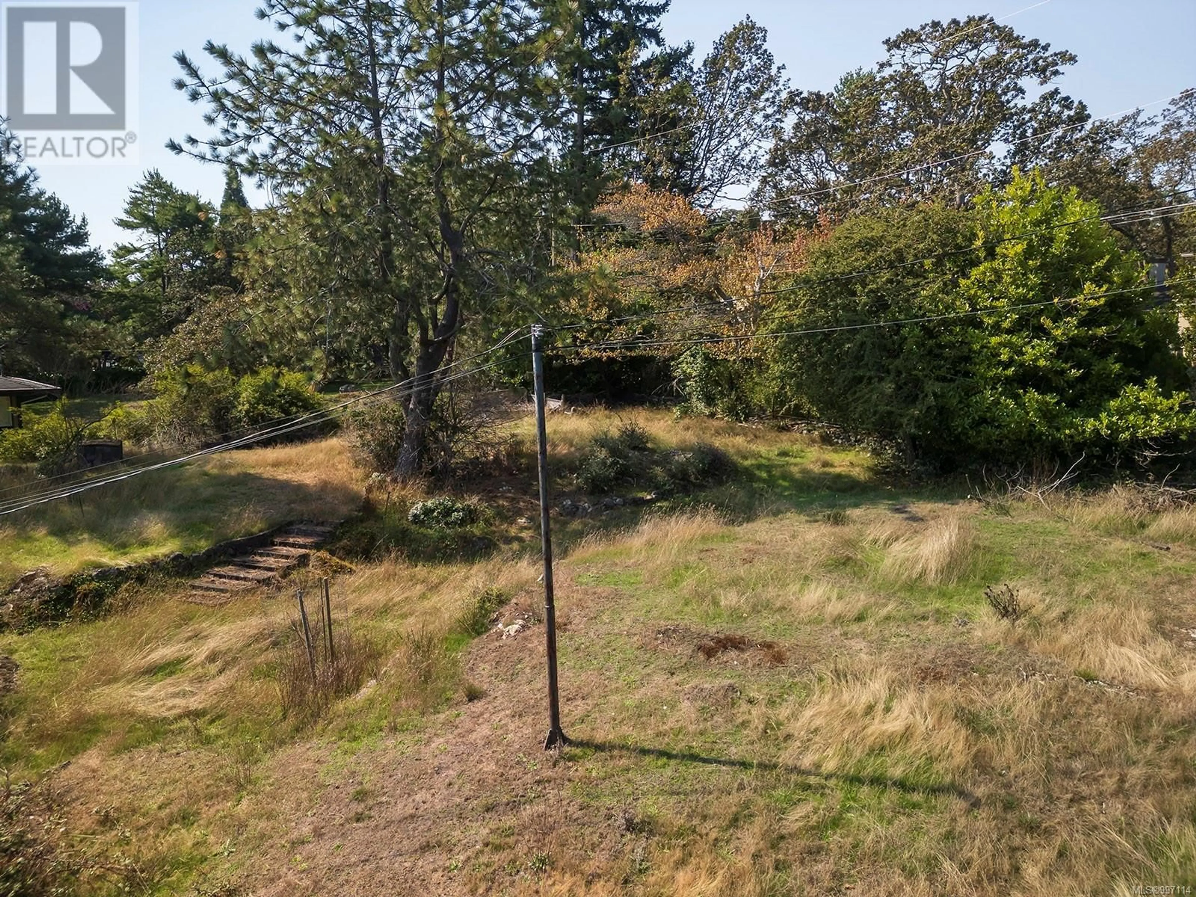 A pic from outside/outdoor area/front of a property/back of a property/a pic from drone, forest/trees view for 3240 NORFOLK ROAD, Oak Bay British Columbia V8R6H4