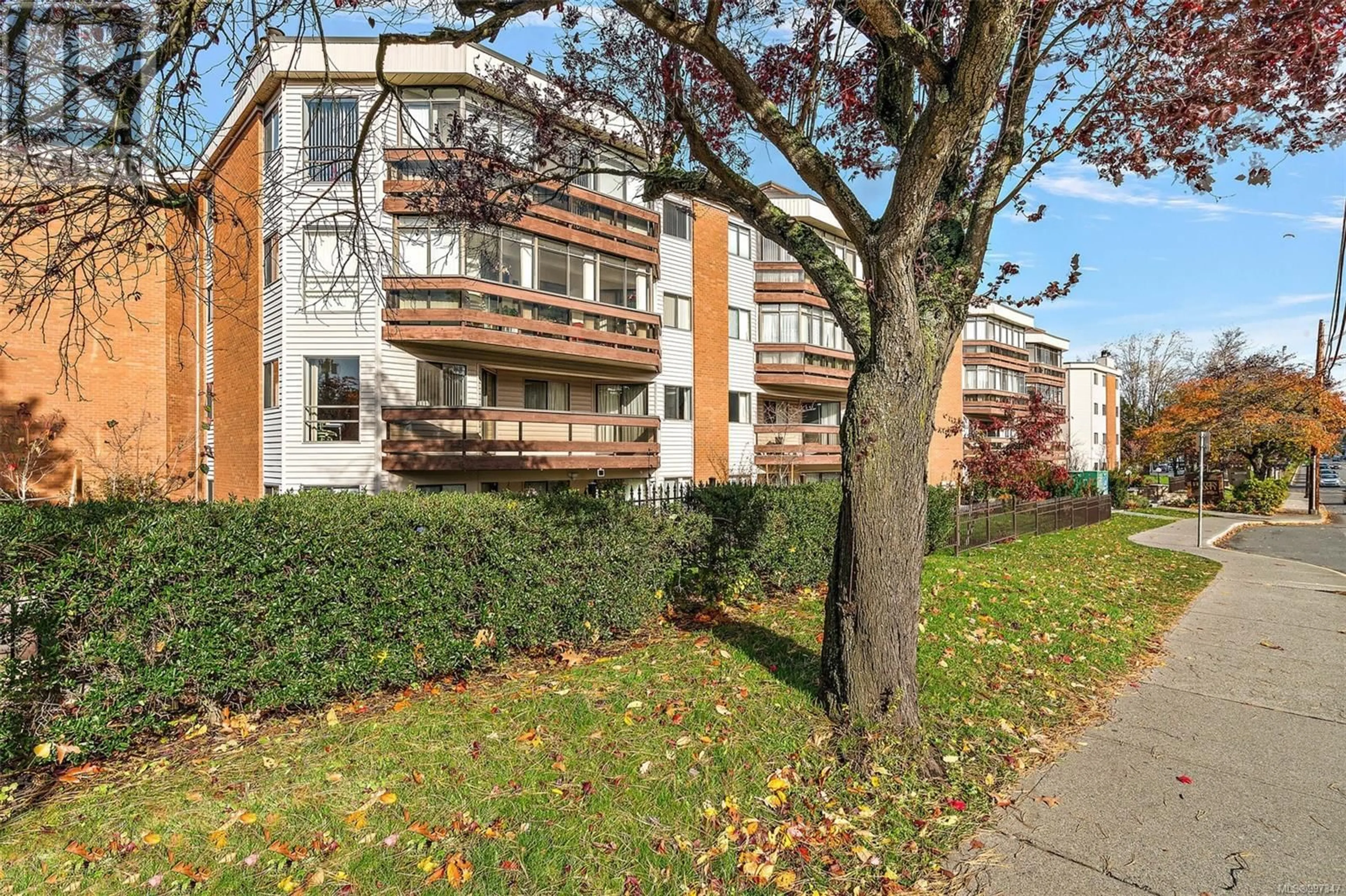 Patio, street for 105 - 1560 HILLSIDE AVENUE, Victoria British Columbia V8T5B8