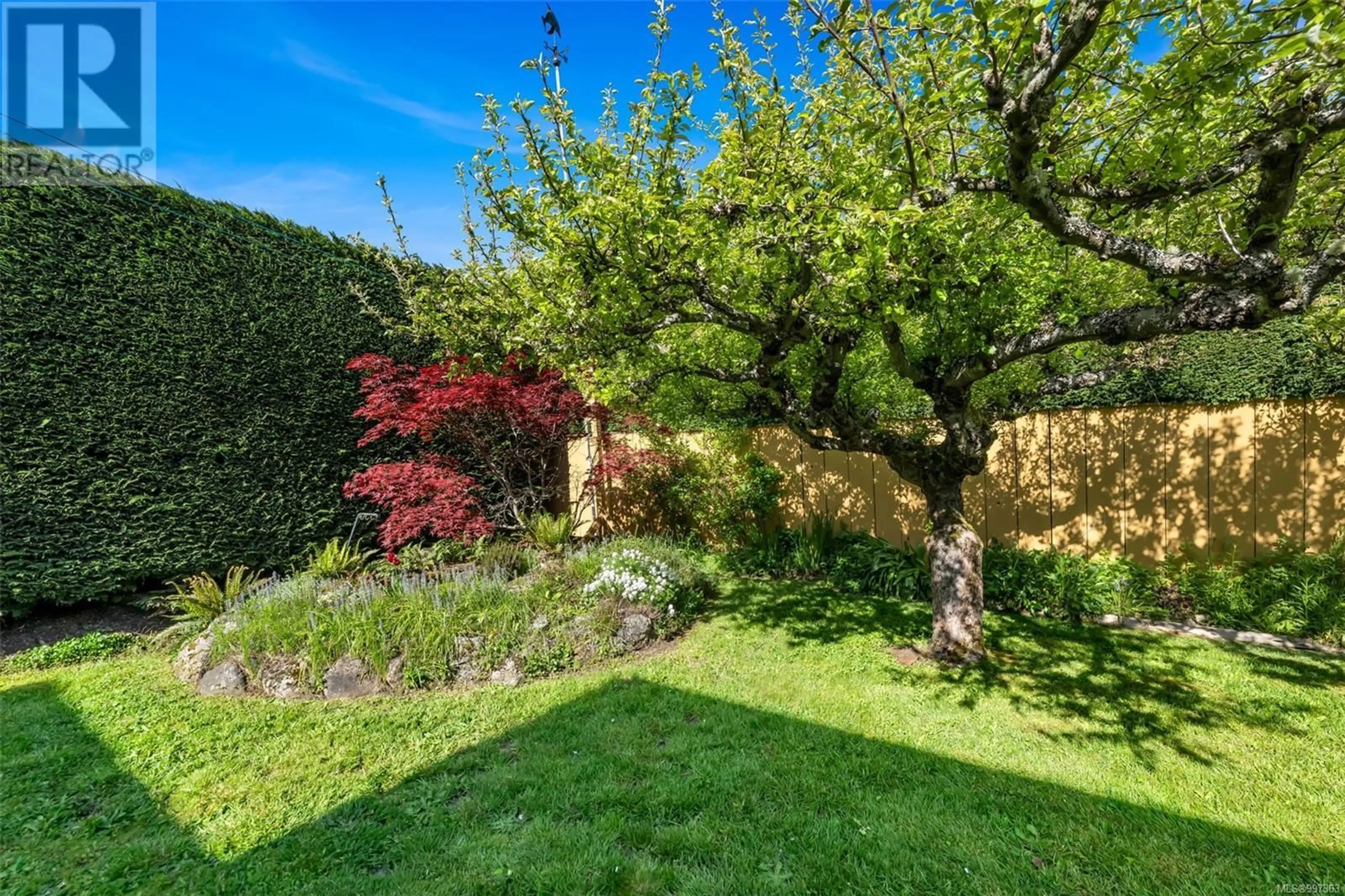 A pic from outside/outdoor area/front of a property/back of a property/a pic from drone, forest/trees view for 2734 HERON STREET, Oak Bay British Columbia V8R6A2