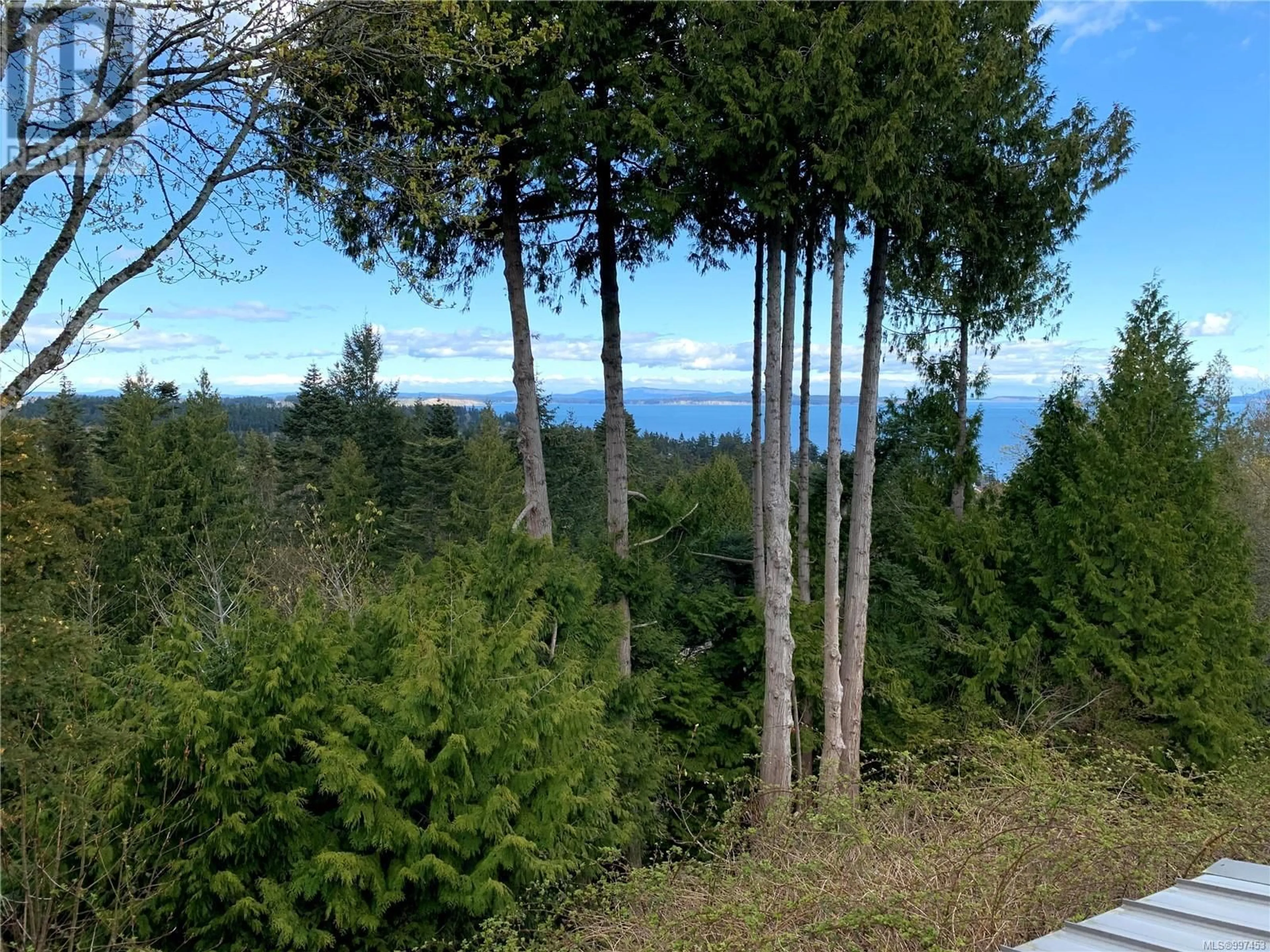 A pic from outside/outdoor area/front of a property/back of a property/a pic from drone, forest/trees view for LOT A - 5070 CATALINA TERRACE, Saanich British Columbia V8Y2A5