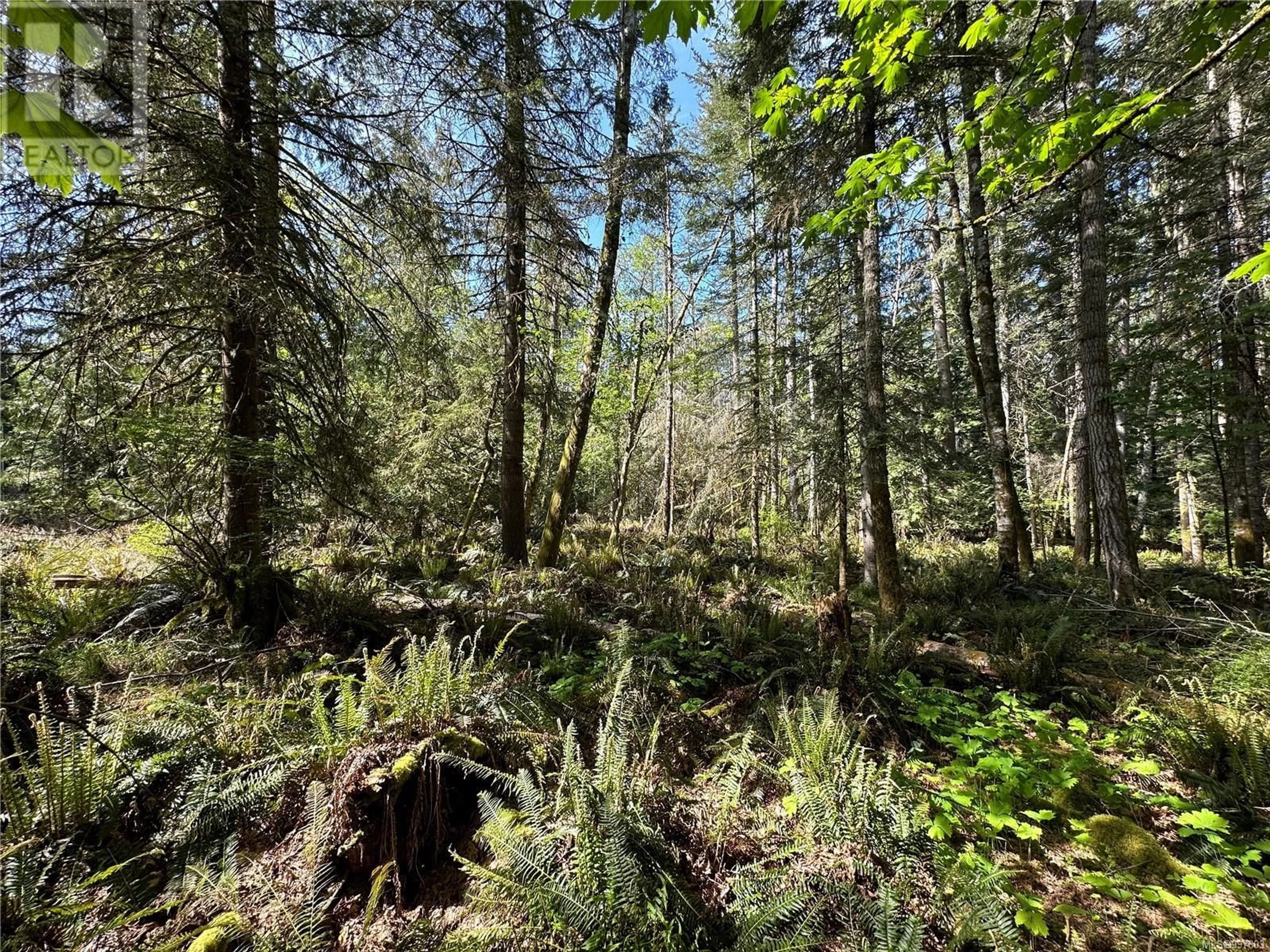 A pic from outside/outdoor area/front of a property/back of a property/a pic from drone, forest/trees view for 148 MEADOW DRIVE, Salt Spring British Columbia V8K1T9