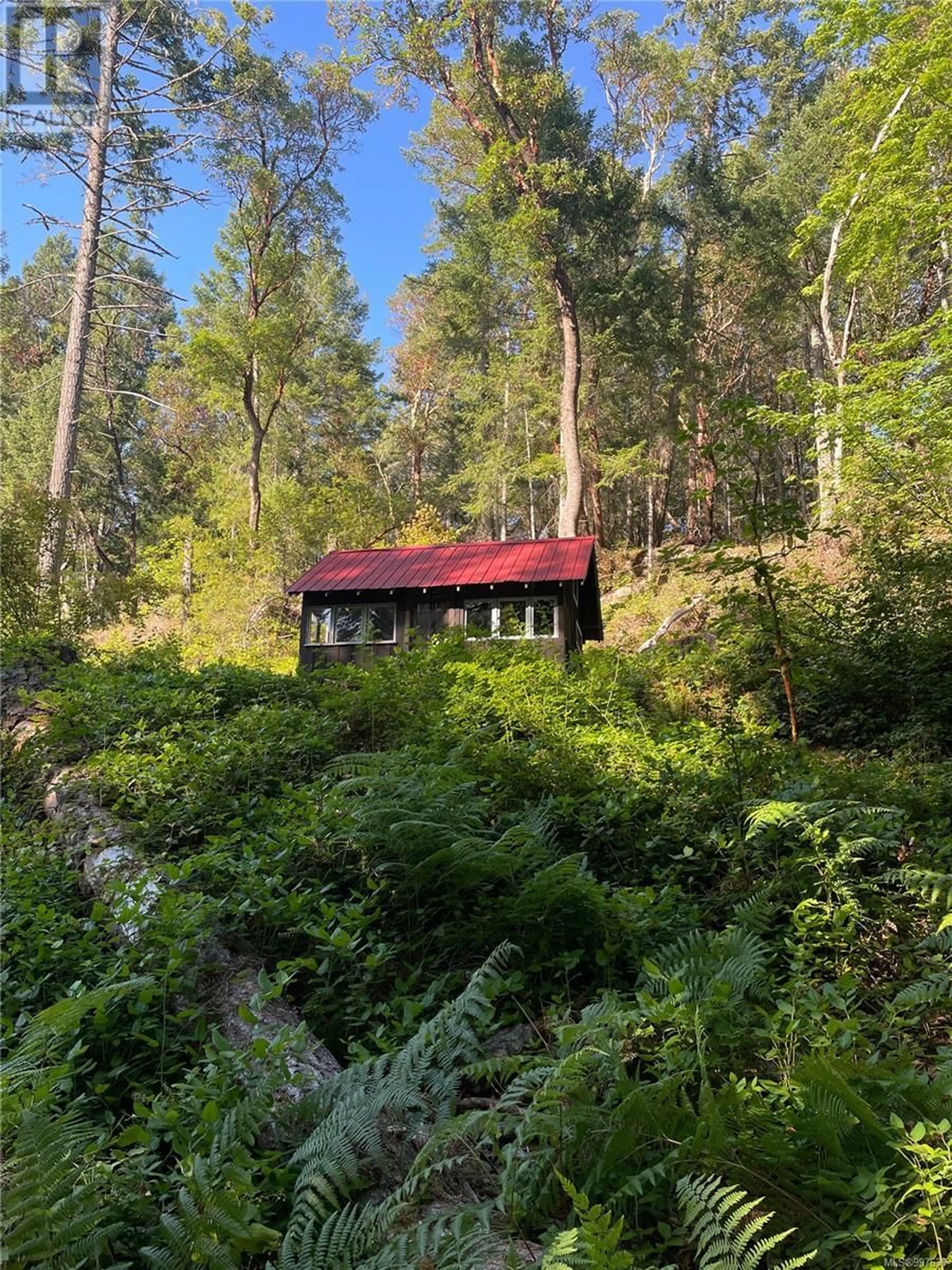 A pic from outside/outdoor area/front of a property/back of a property/a pic from drone, forest/trees view for Lot 13 RUXTON ISLAND, Ruxton Island British Columbia