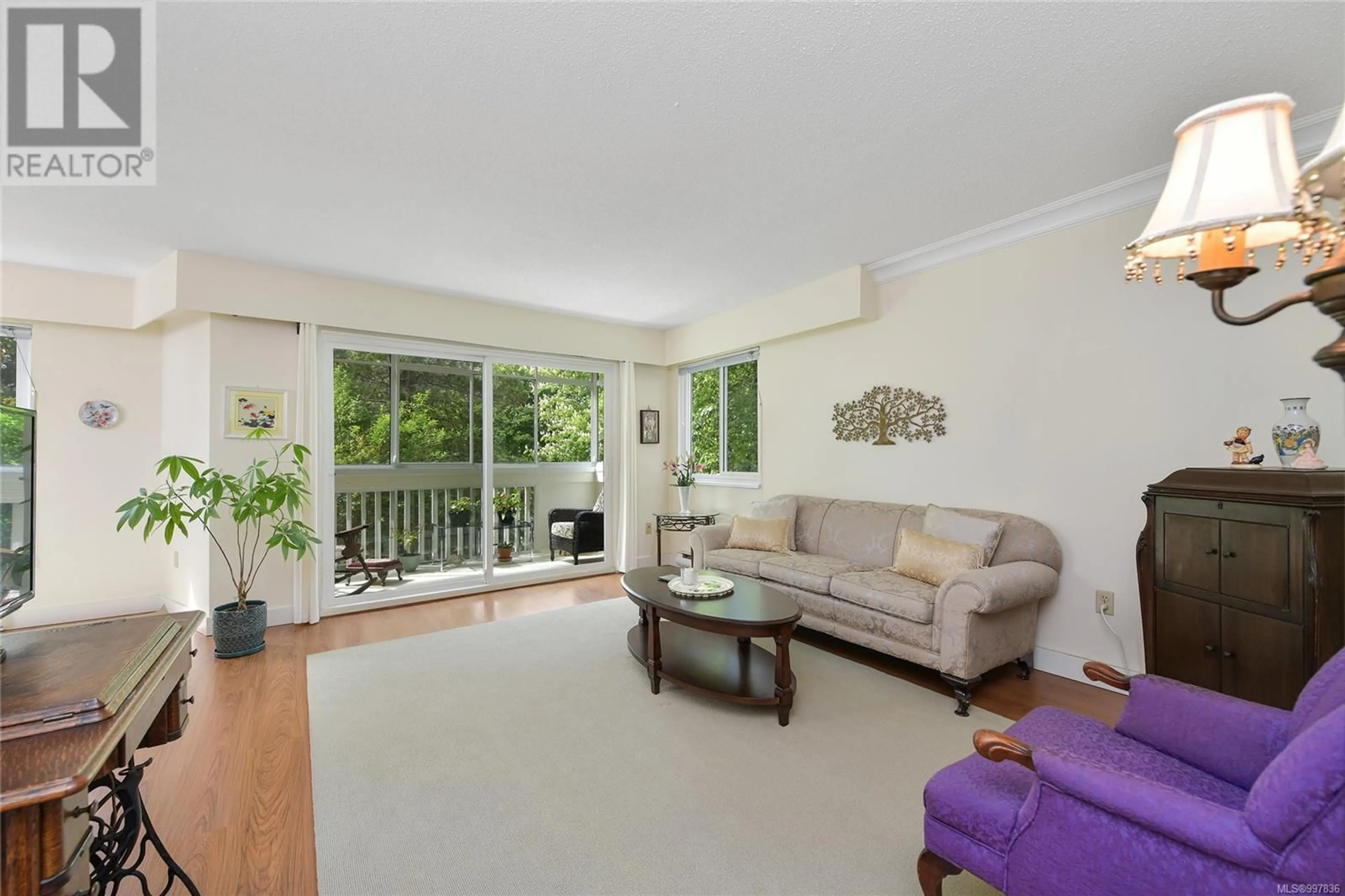 Living room with furniture, wood/laminate floor for 202 - 1012 COLLINSON STREET, Victoria British Columbia V8V3C1