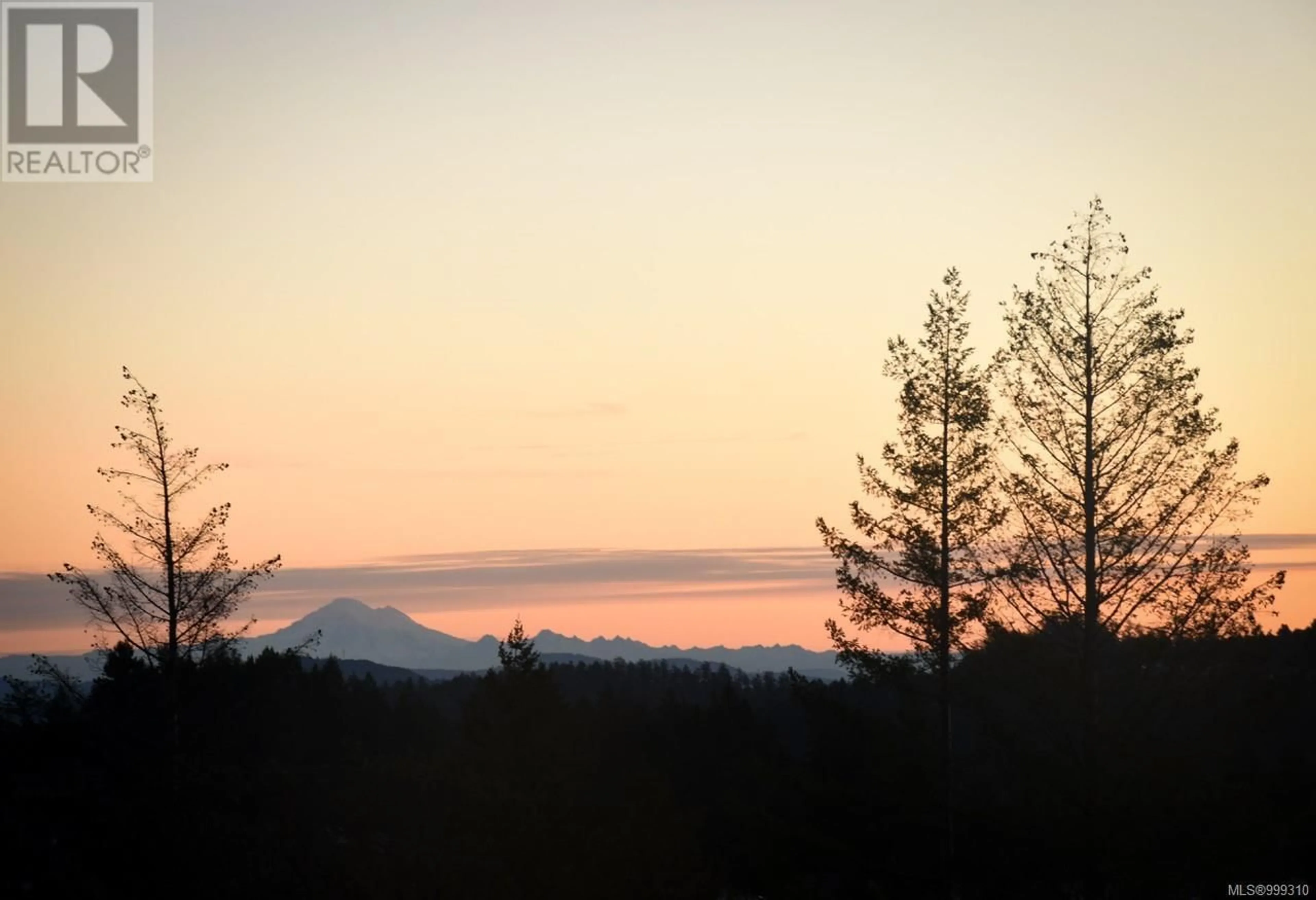 Blurry image for 2326 AZURITE CRESCENT, Langford British Columbia V9B0T9